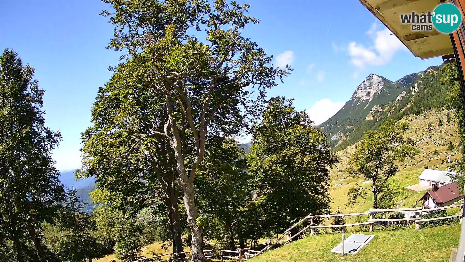 Planina Razor Bergütte Webcam (1315) | Blick auf Tolminski Migovec