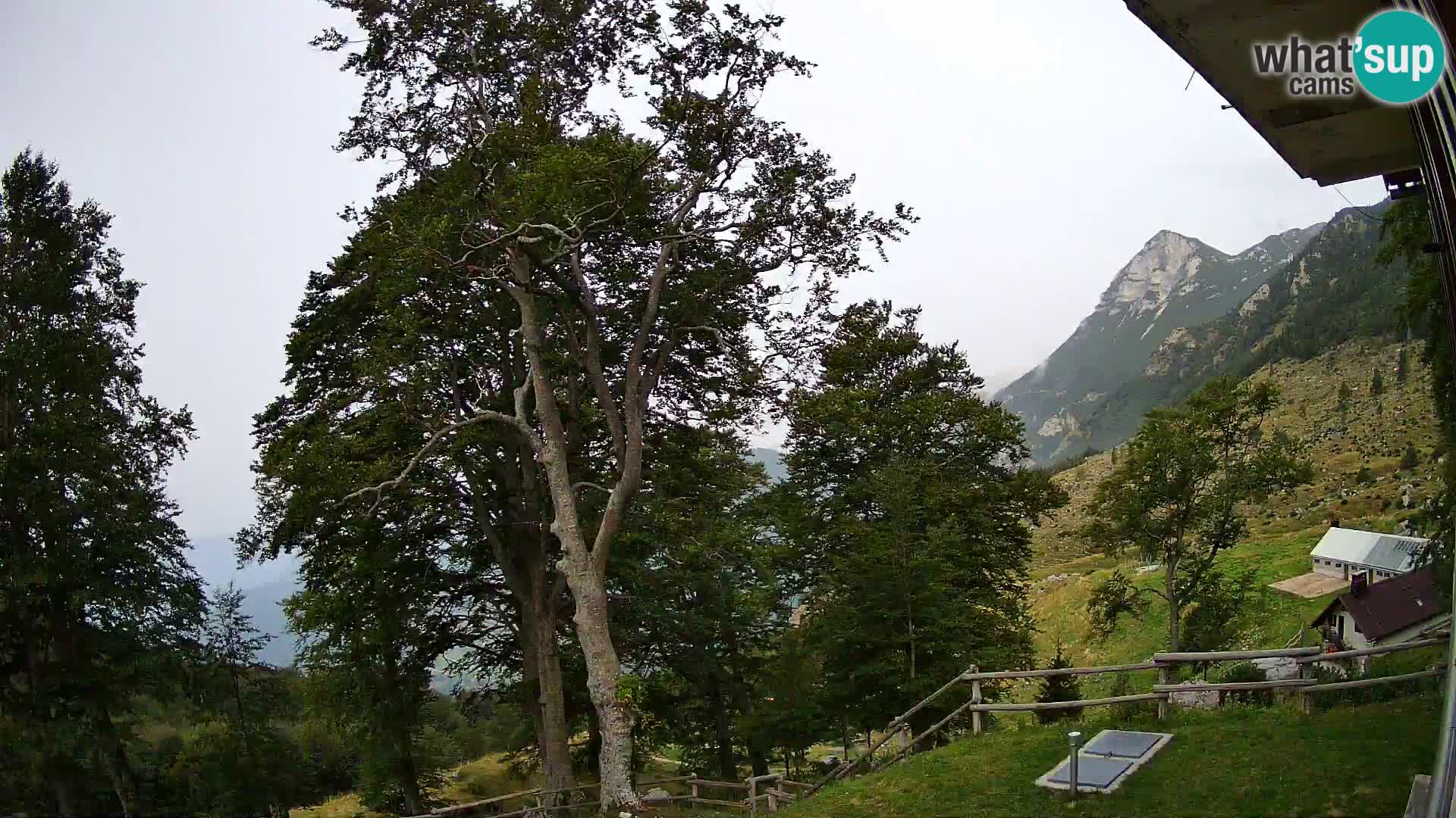 Baita di montagna Planina Razor webcam (1315) | vista su Tolminski Migovec