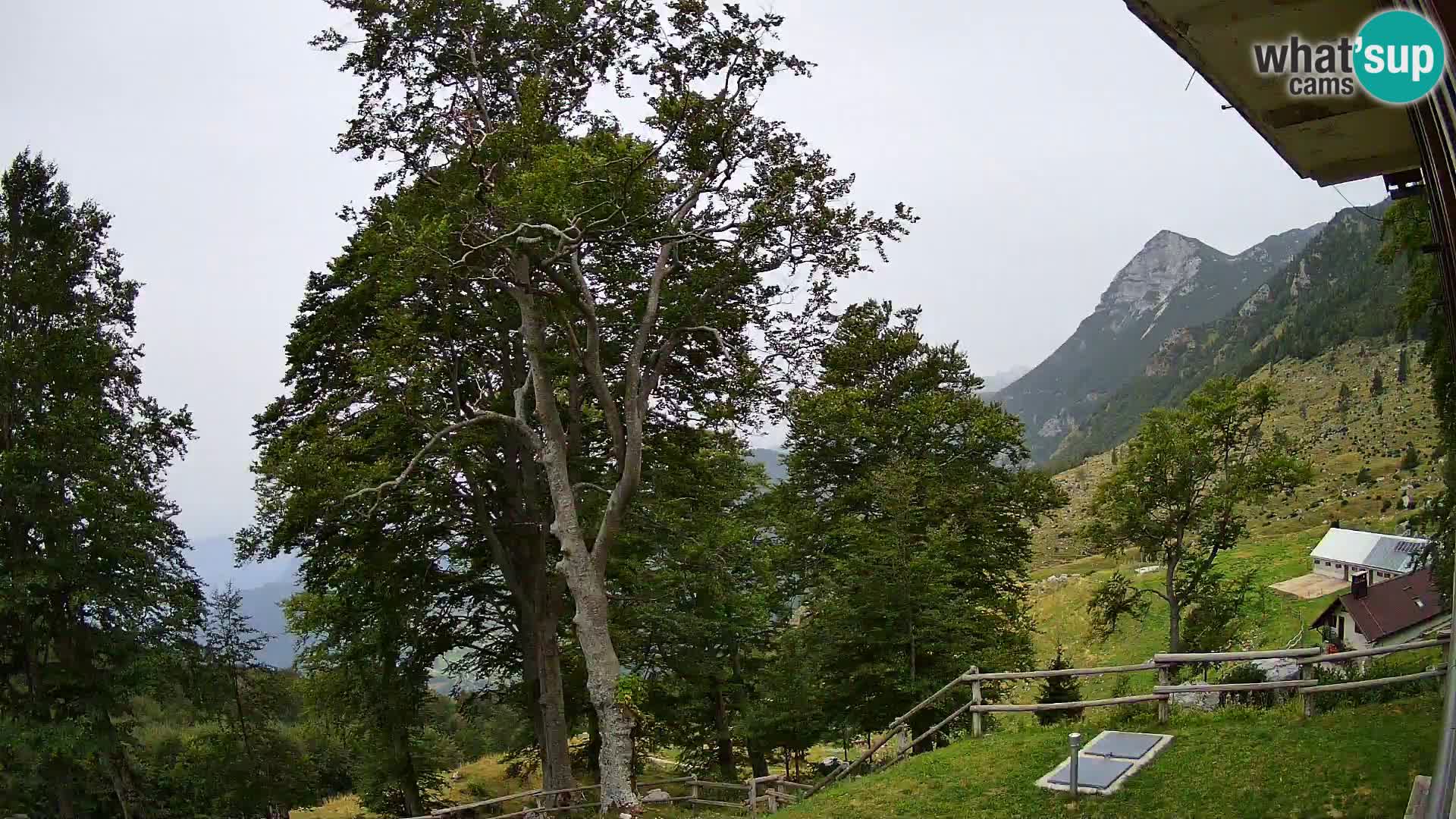 Baita di montagna Planina Razor webcam (1315) | vista su Tolminski Migovec