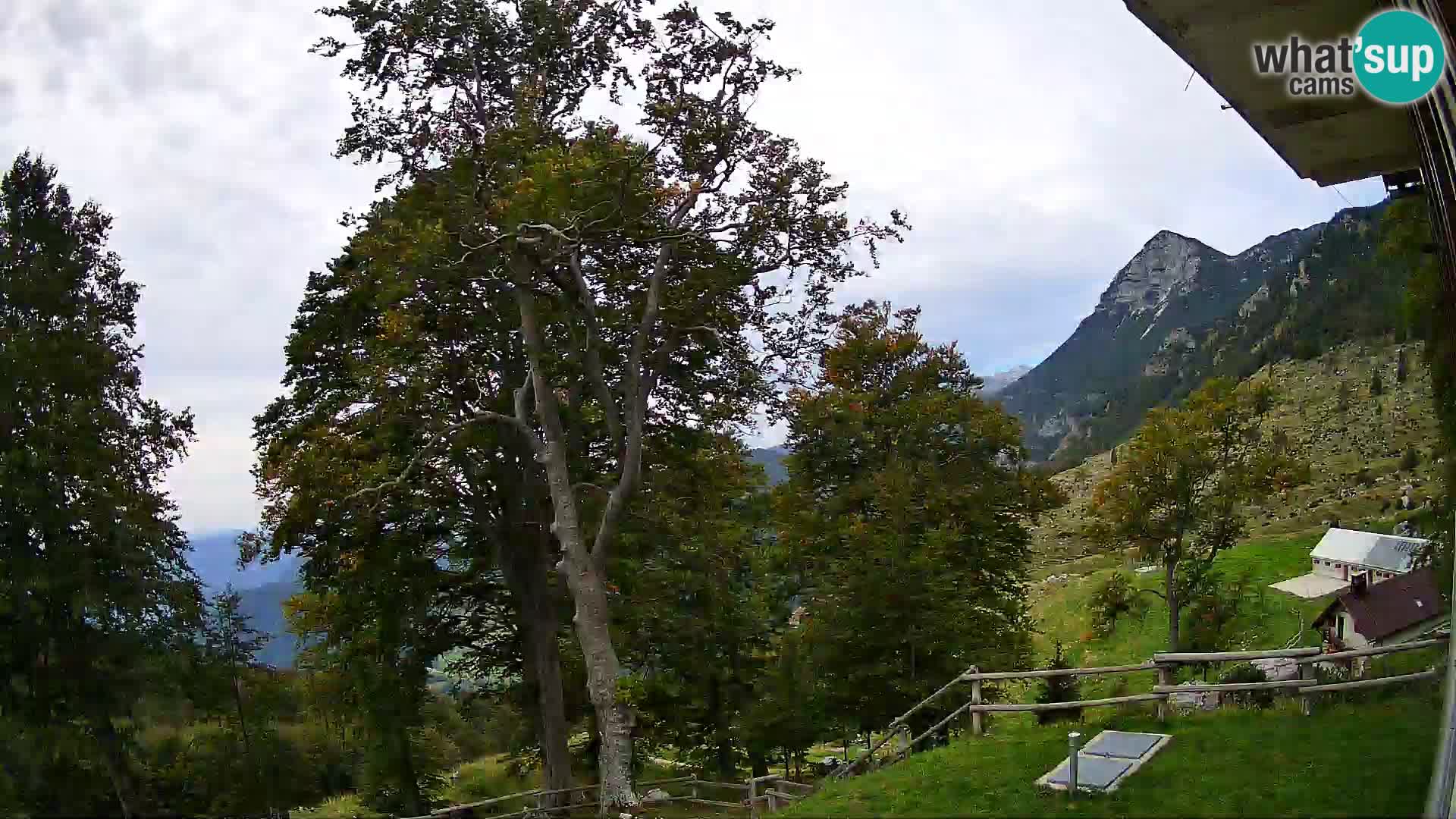 Koča na Planini Razor spletna kamera (1315) | Pogled na Tolminski Migovec