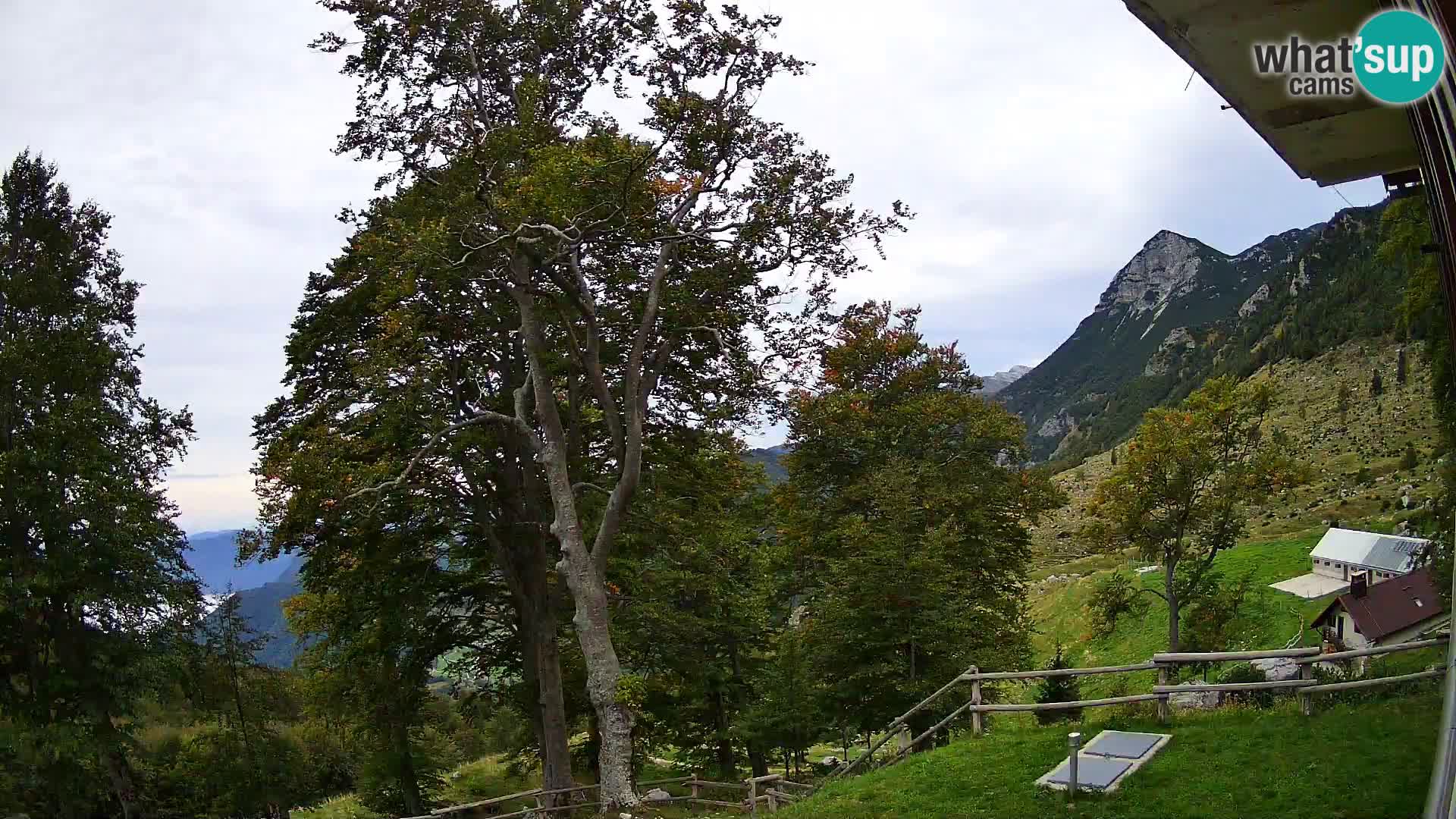 Planina Razor Bergütte Webcam (1315) | Blick auf Tolminski Migovec