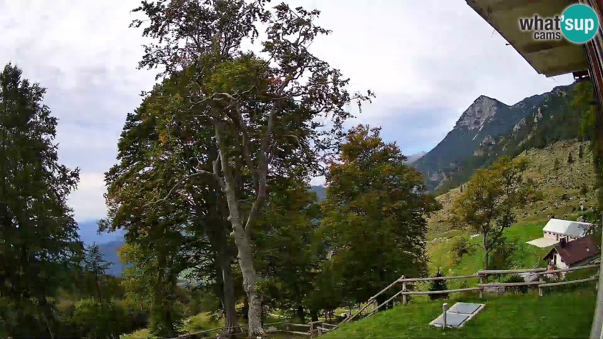 Refuge de la montagne Planina Razor caméra en direct (1315) | vue sur Tolminski Migovec