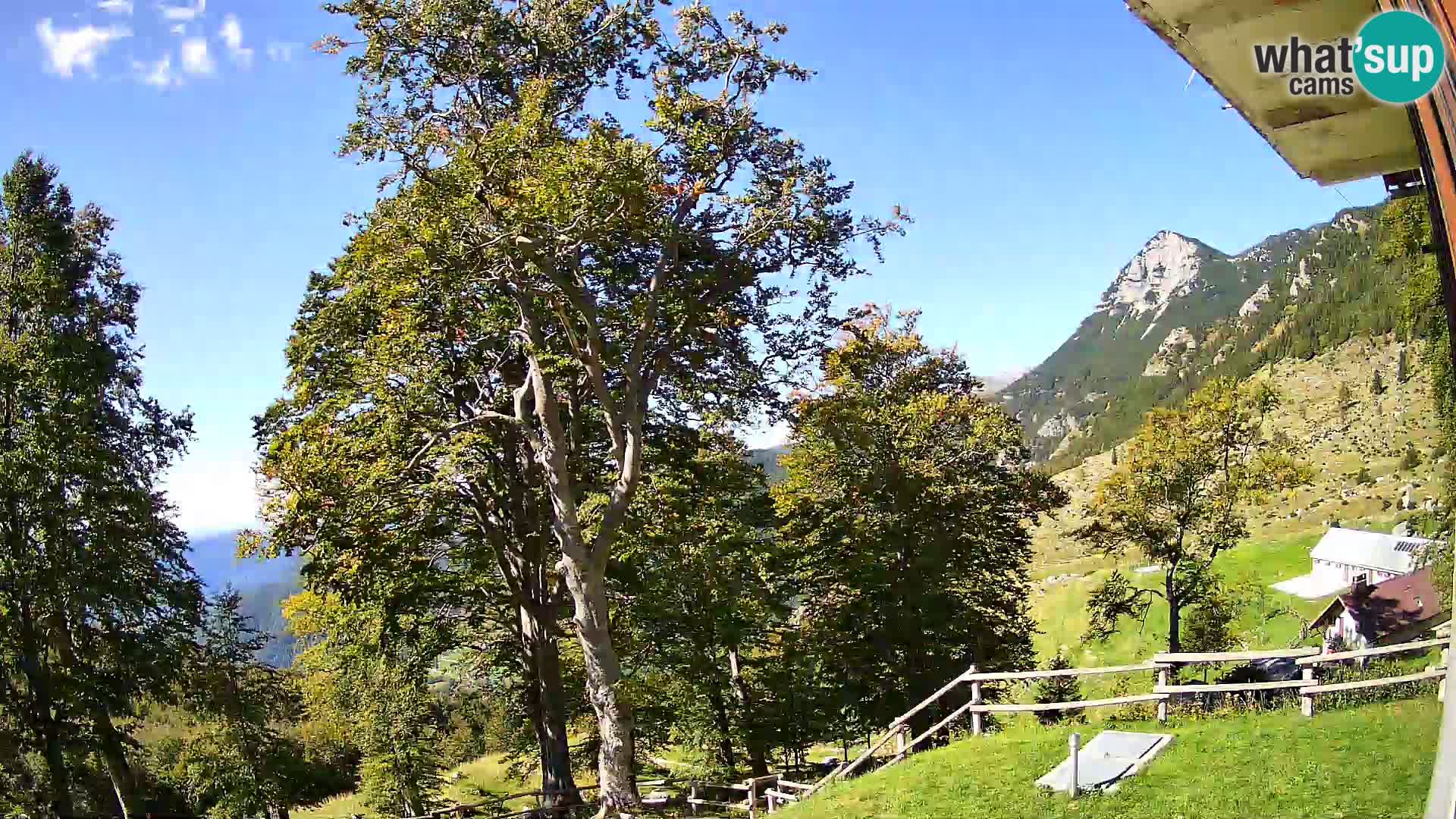 Planina Razor Mountain Hut live cam (1315) | view to Tolminski Migovec