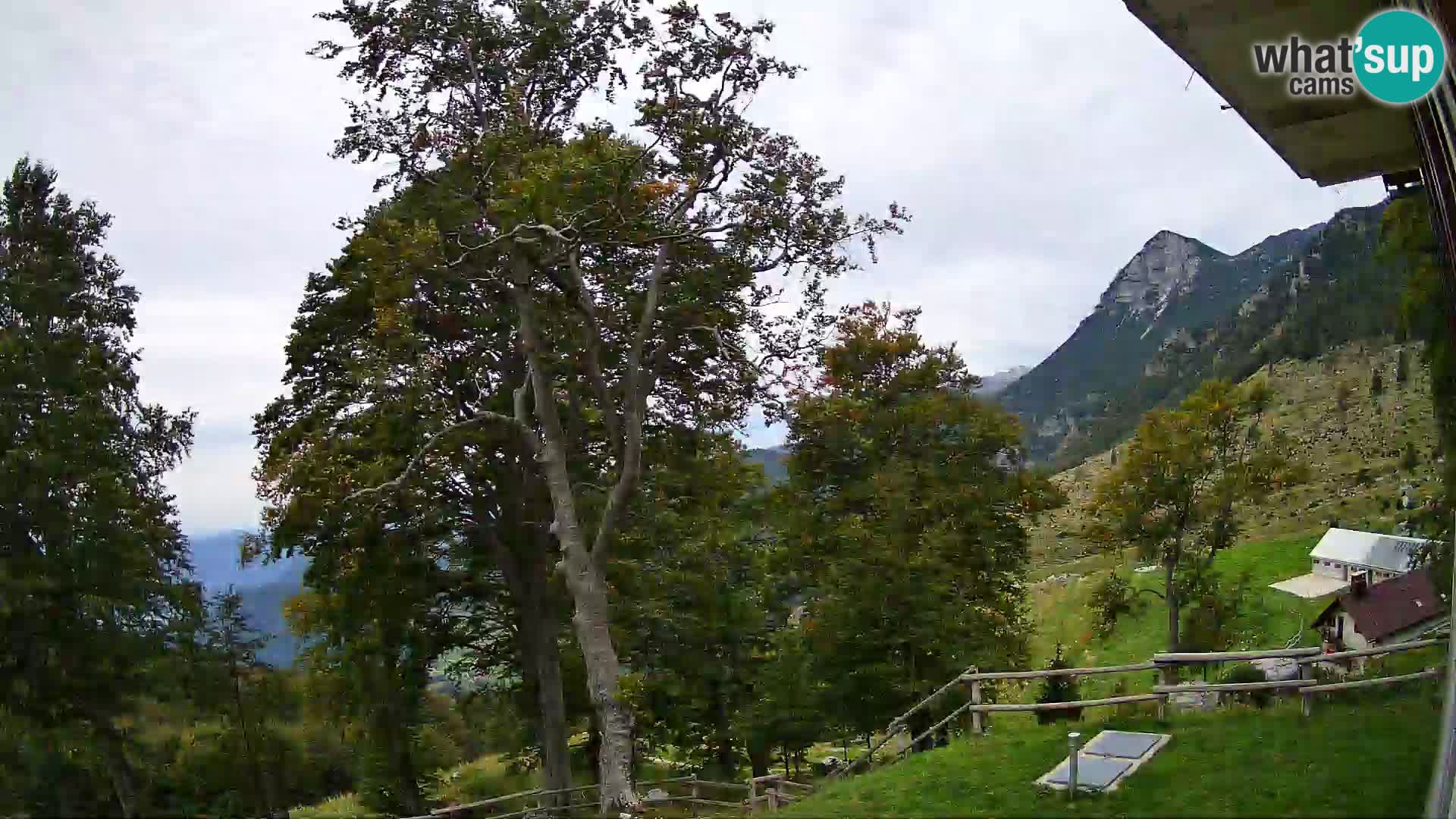 Planina Razor Mountain Hut live cam (1315) | view to Tolminski Migovec