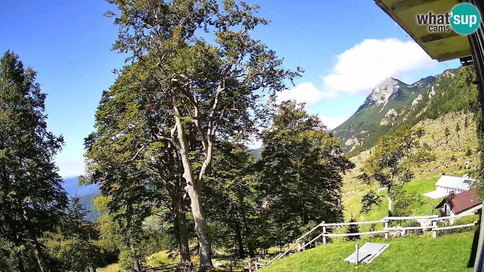 Baita di montagna Planina Razor webcam (1315) | vista su Tolminski Migovec