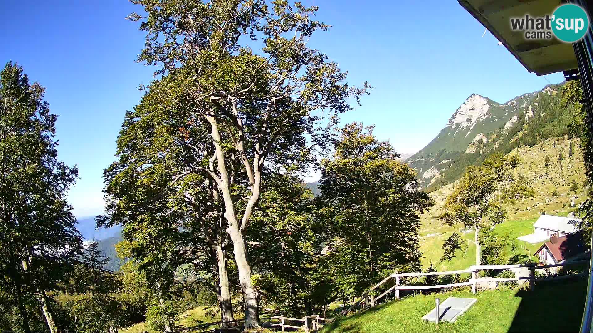 Planina Razor Mountain Hut live cam (1315) | view to Tolminski Migovec
