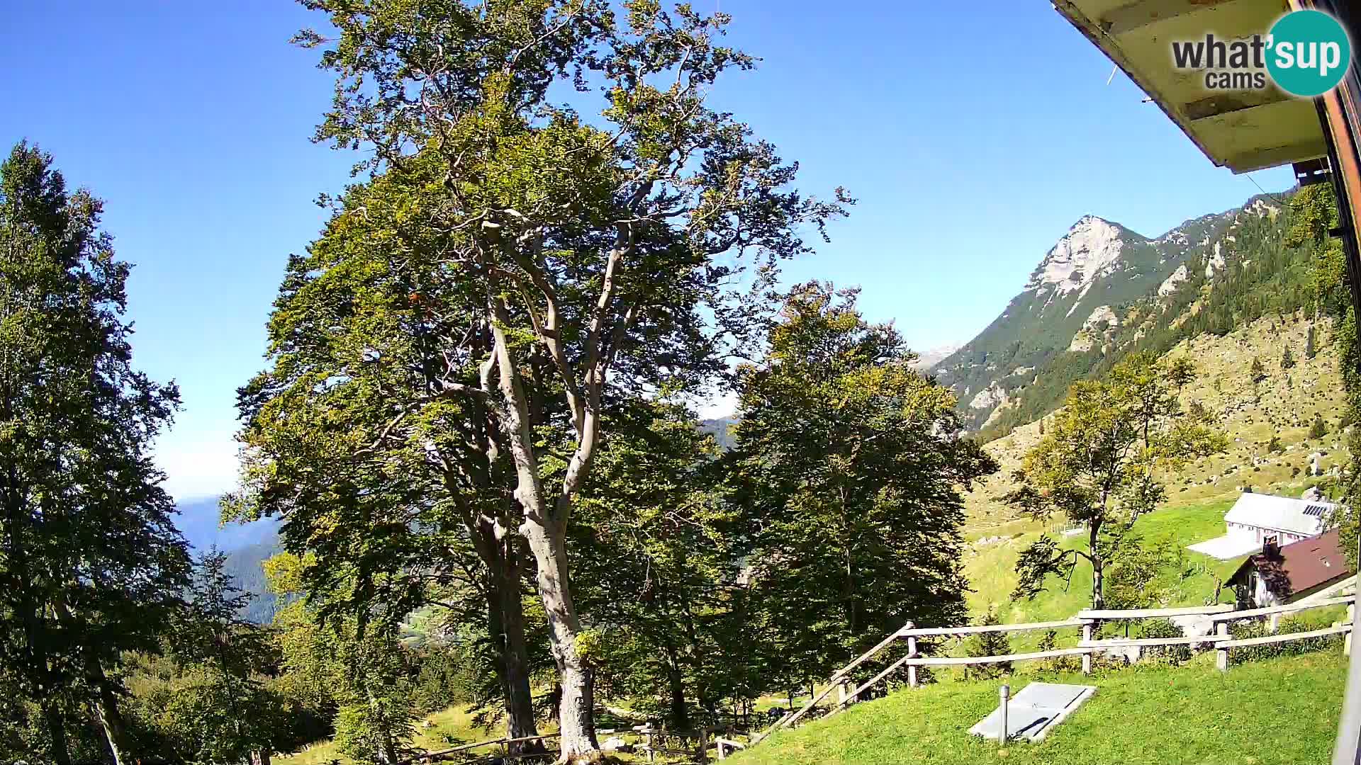 Planina Razor Bergütte Webcam (1315) | Blick auf Tolminski Migovec