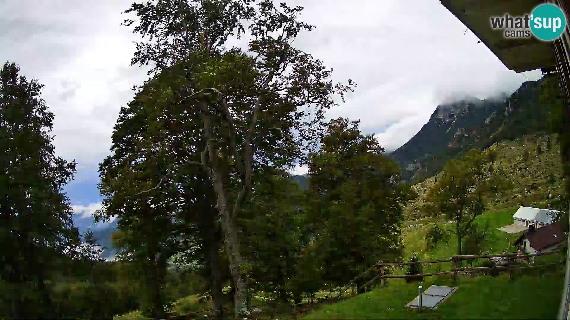 Planina Razor Bergütte Webcam (1315) | Blick auf Tolminski Migovec