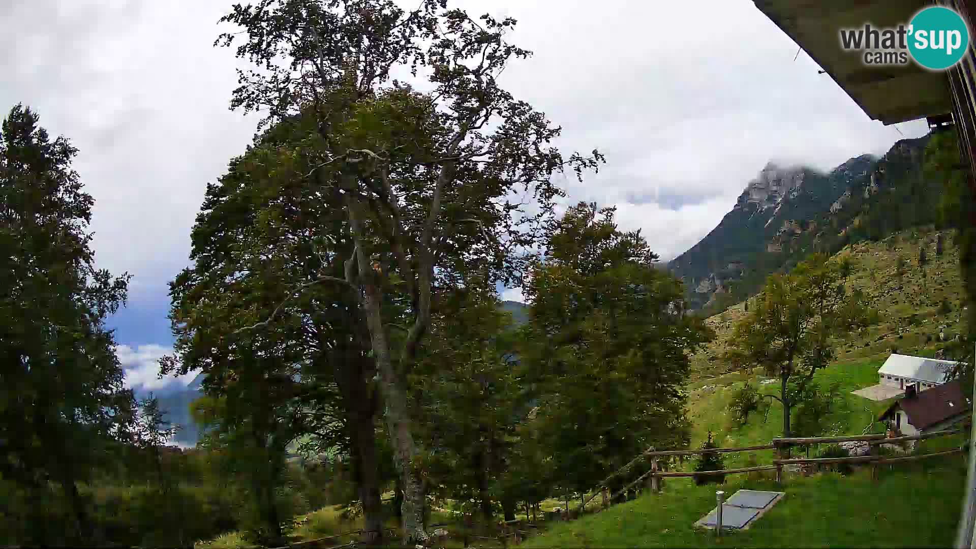 Refuge de la montagne Planina Razor caméra en direct (1315) | vue sur Tolminski Migovec