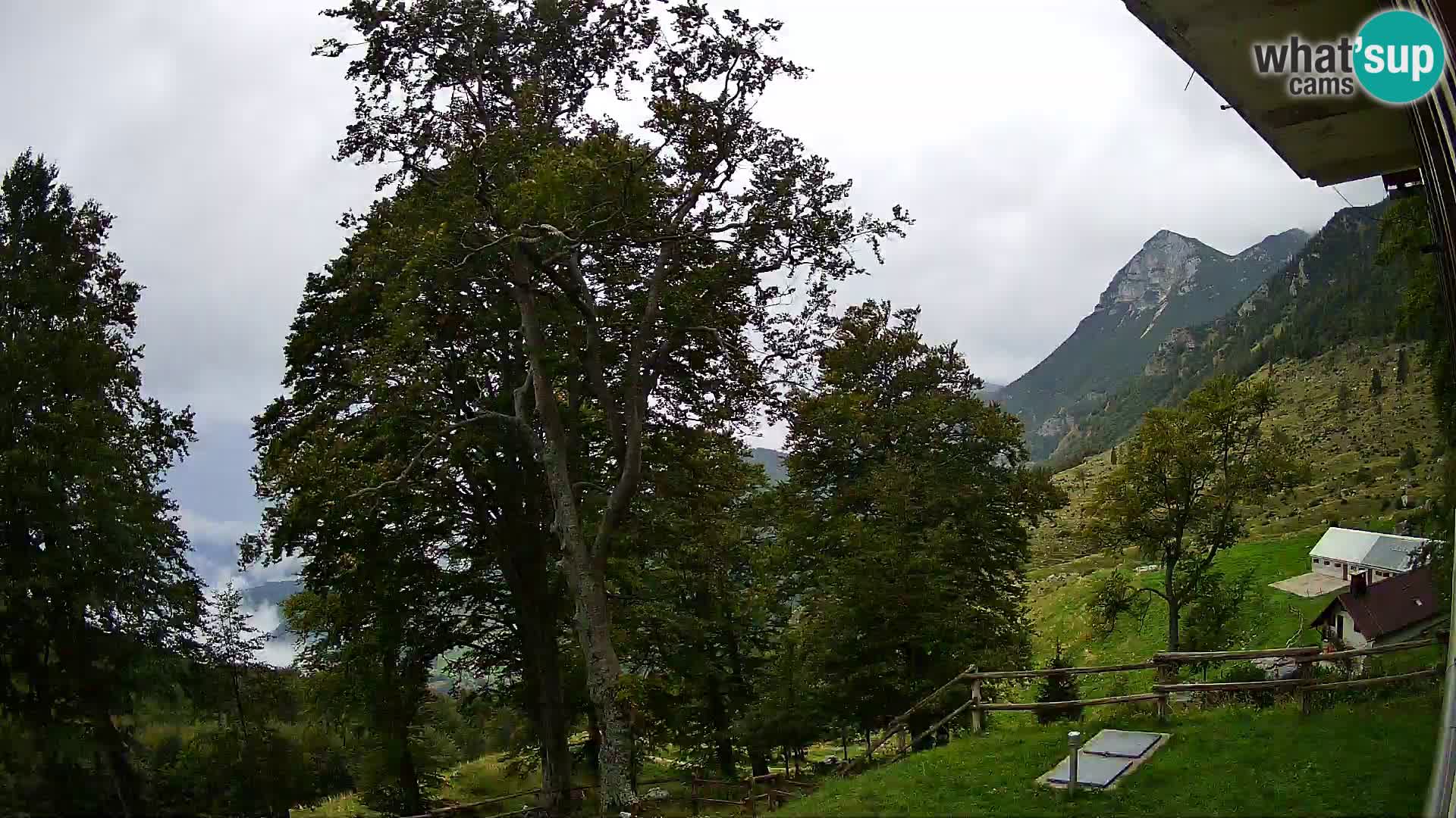 Planina Razor Bergütte Webcam (1315) | Blick auf Tolminski Migovec