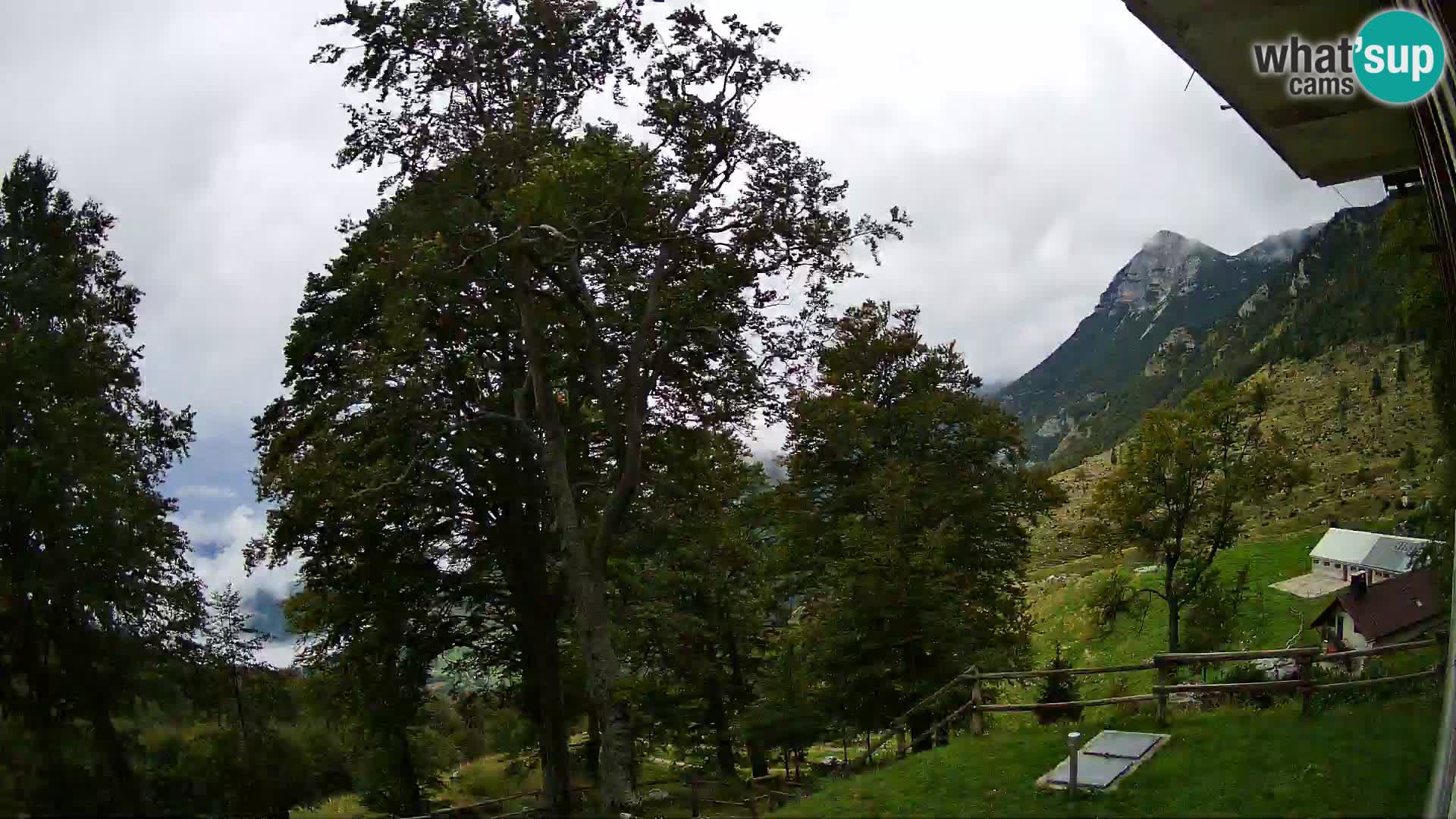 Planina Razor Bergütte Webcam (1315) | Blick auf Tolminski Migovec