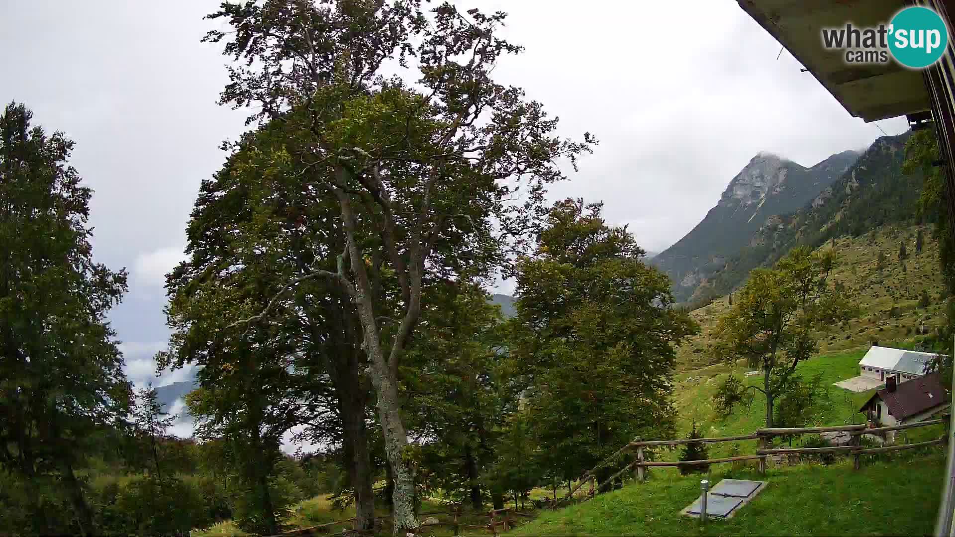 Planina Razor Mountain Hut live cam (1315) | view to Tolminski Migovec