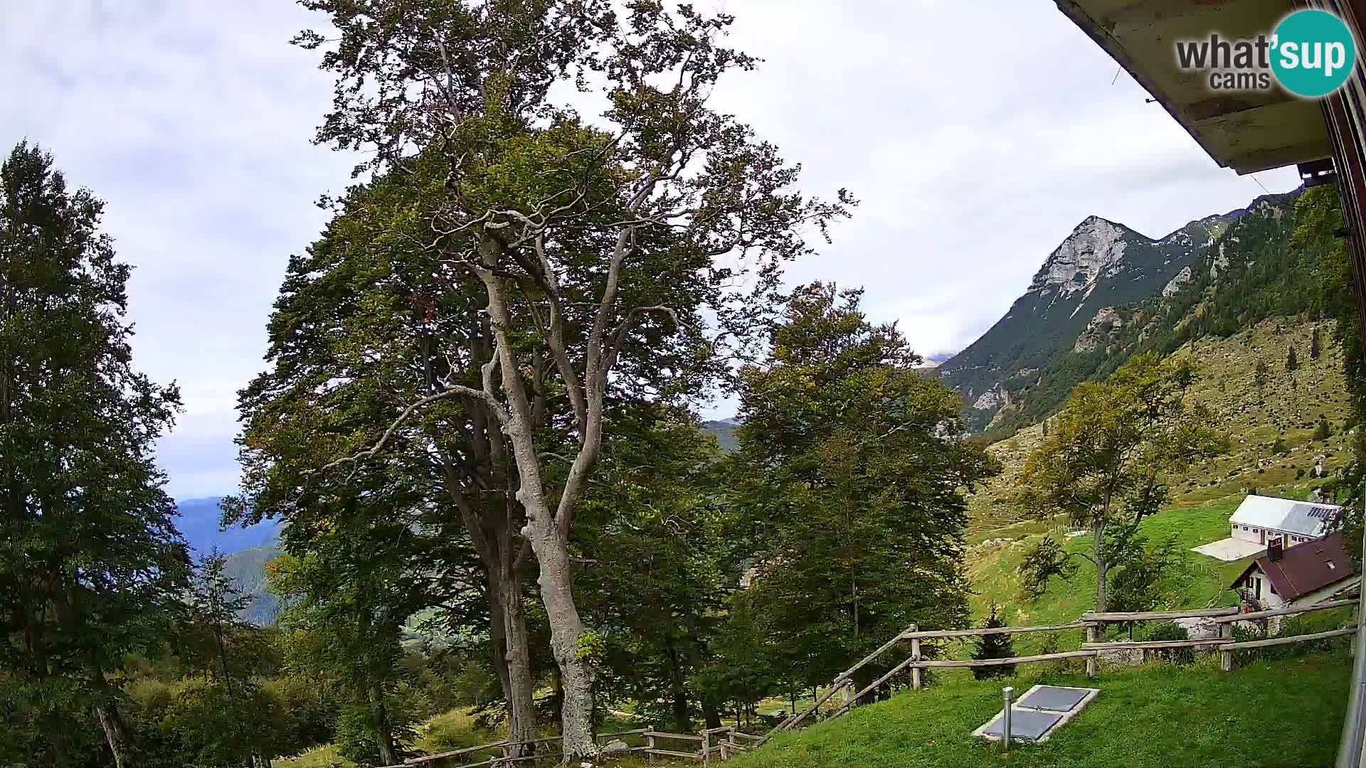 Planina Razor Mountain Hut live cam (1315) | view to Tolminski Migovec