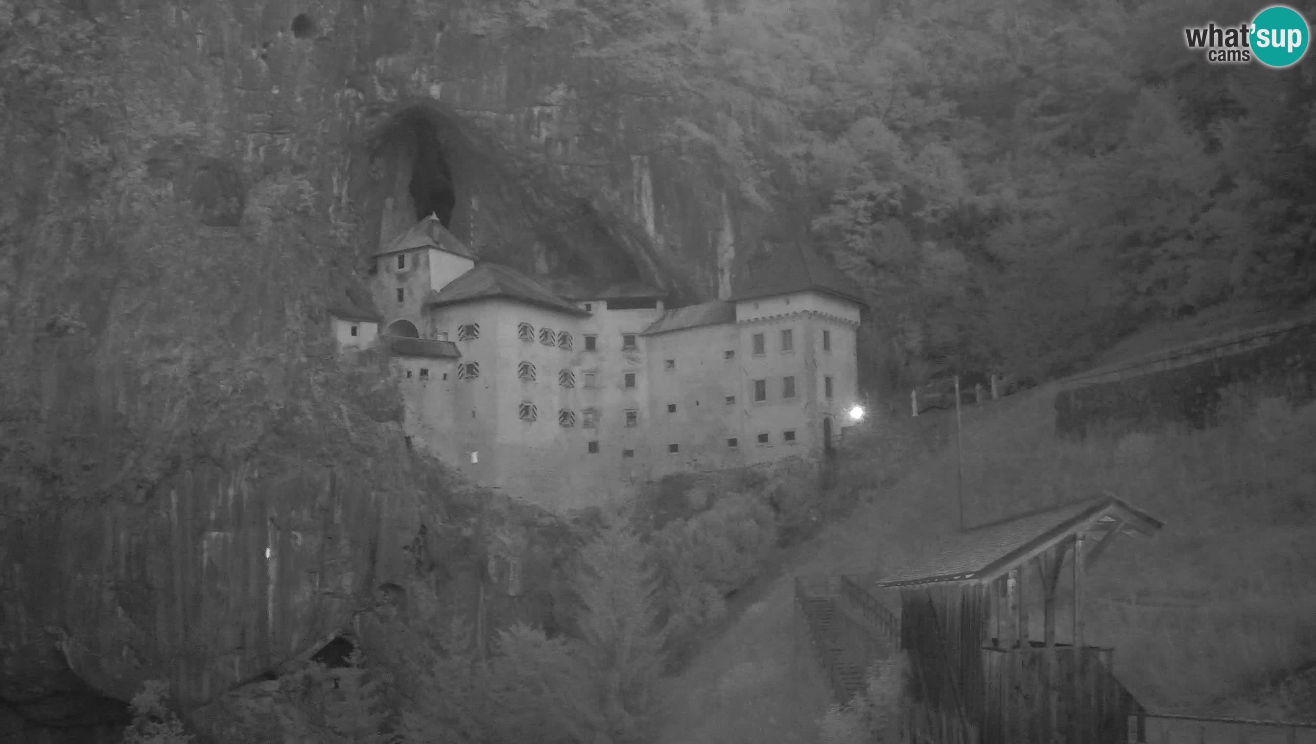 Höhlenburg Lueg