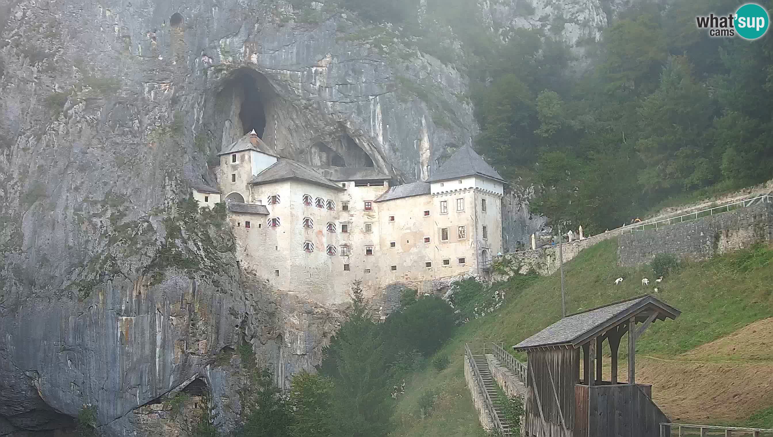 Web kamera Predjamski dvorac – Postojna – Slovenija