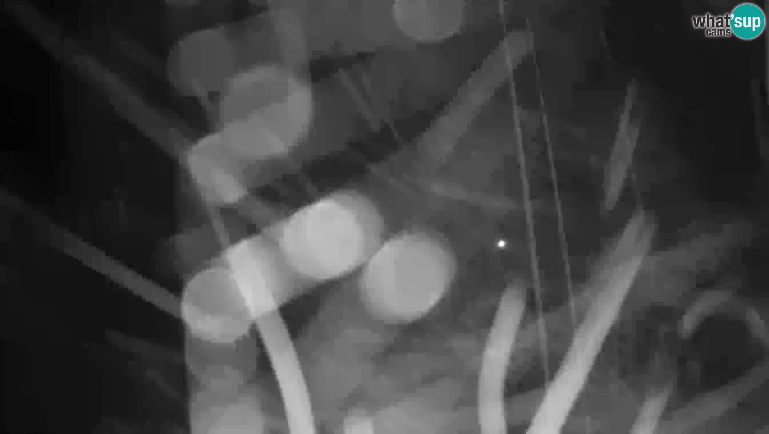 Live Webcam Castello di Predjama – Postumia – Slovenia