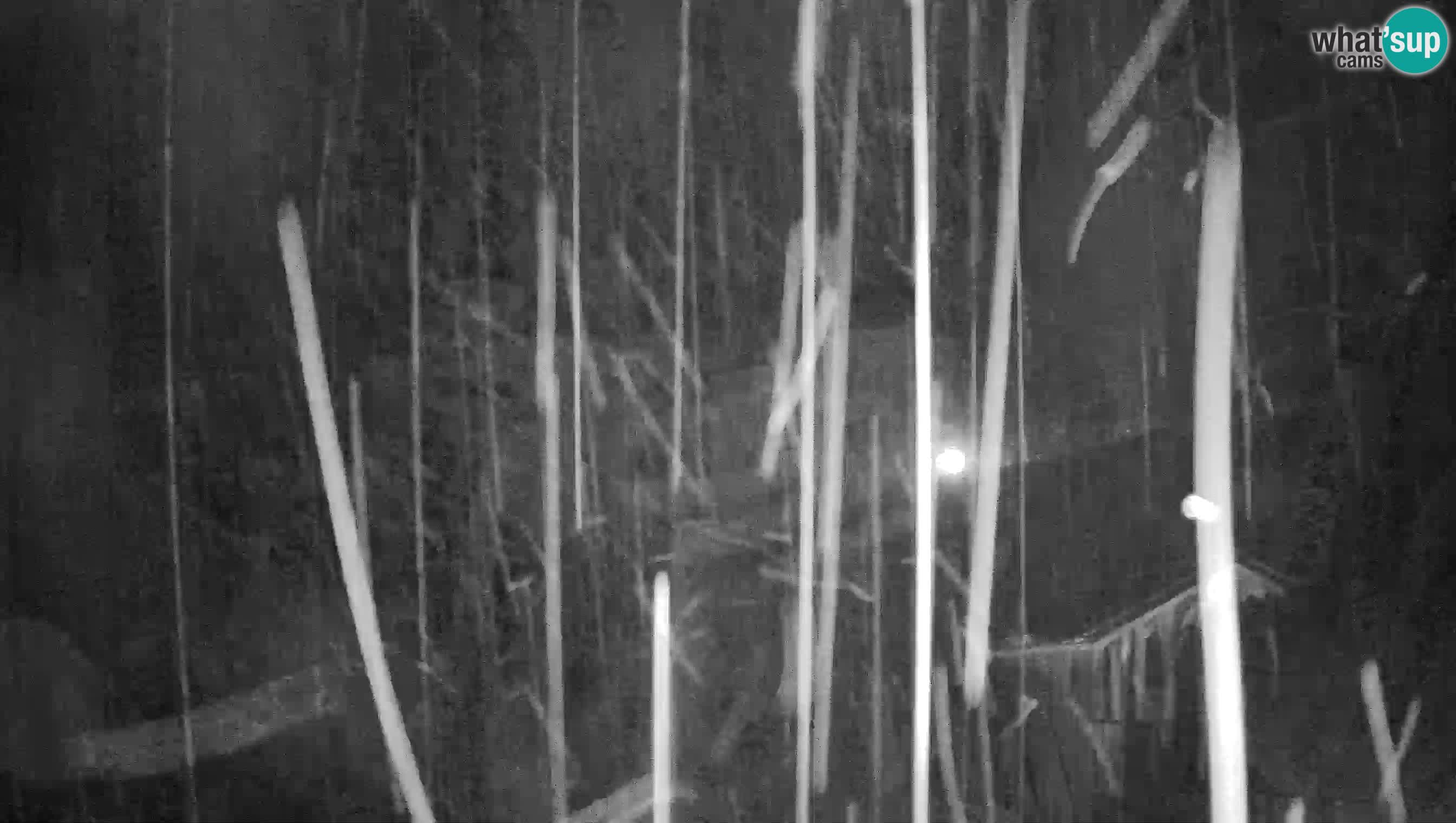 Live Webcam Höhlenburg Predjama – Postojna – Slowenien