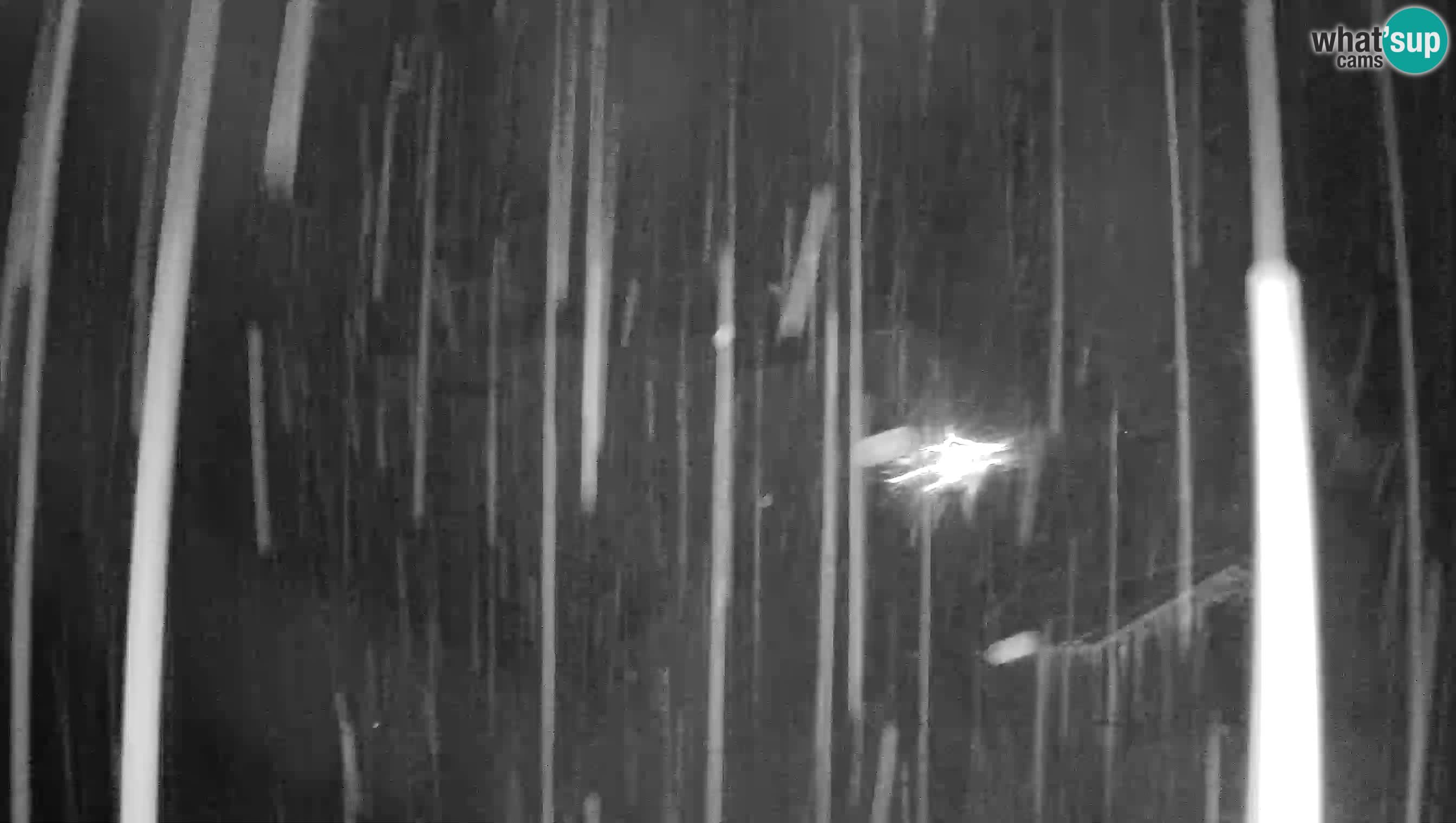 Camera en vivo Castillo de Predjama – Postojna – Eslovenia