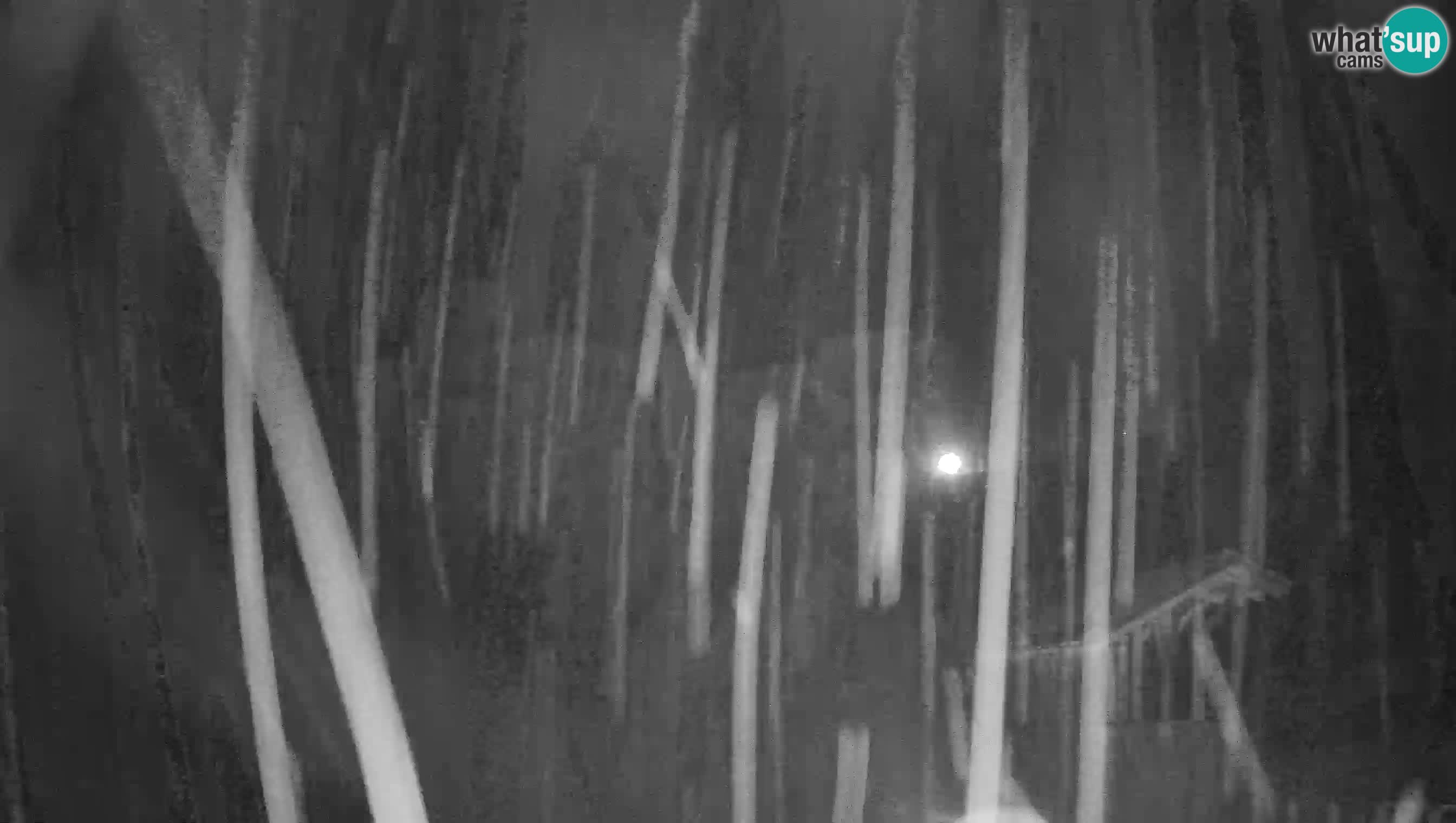 Live Webcam Castello di Predjama – Postumia – Slovenia