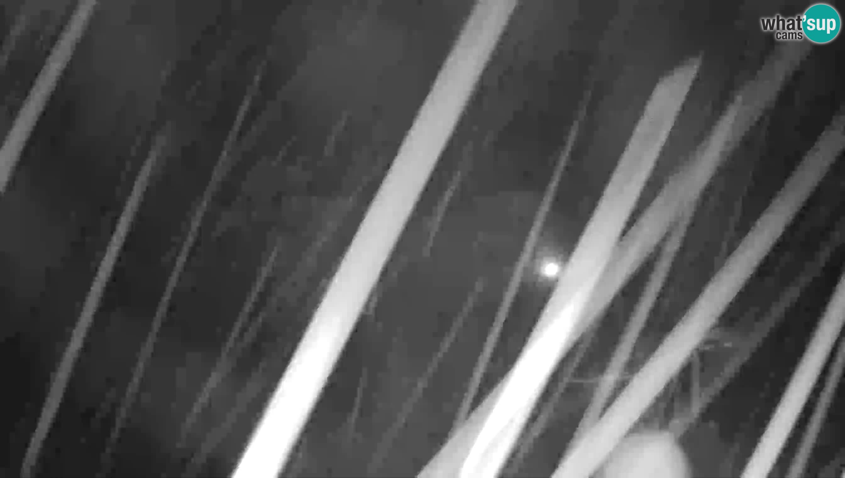 Camera en vivo Castillo de Predjama – Postojna – Eslovenia