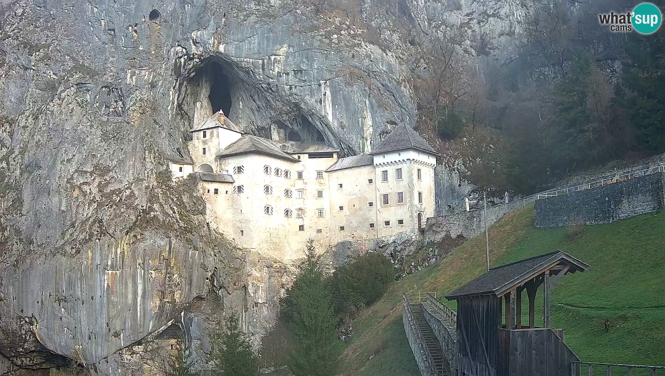 Camera en vivo Castillo de Predjama – Postojna – Eslovenia