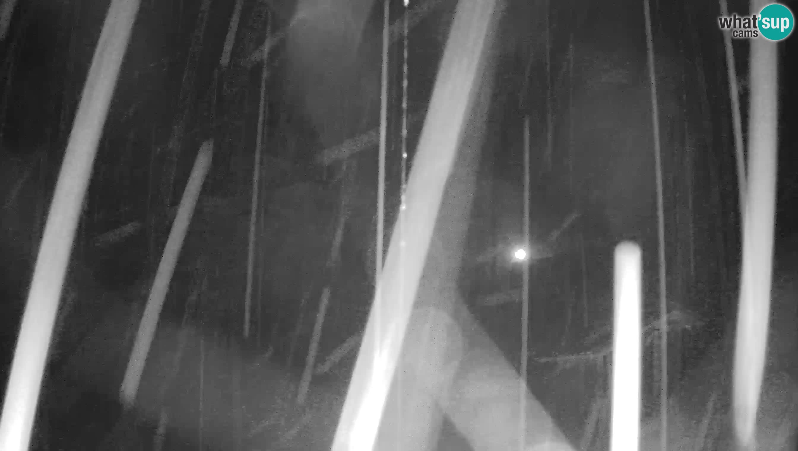 Camera en vivo Castillo de Predjama – Postojna – Eslovenia