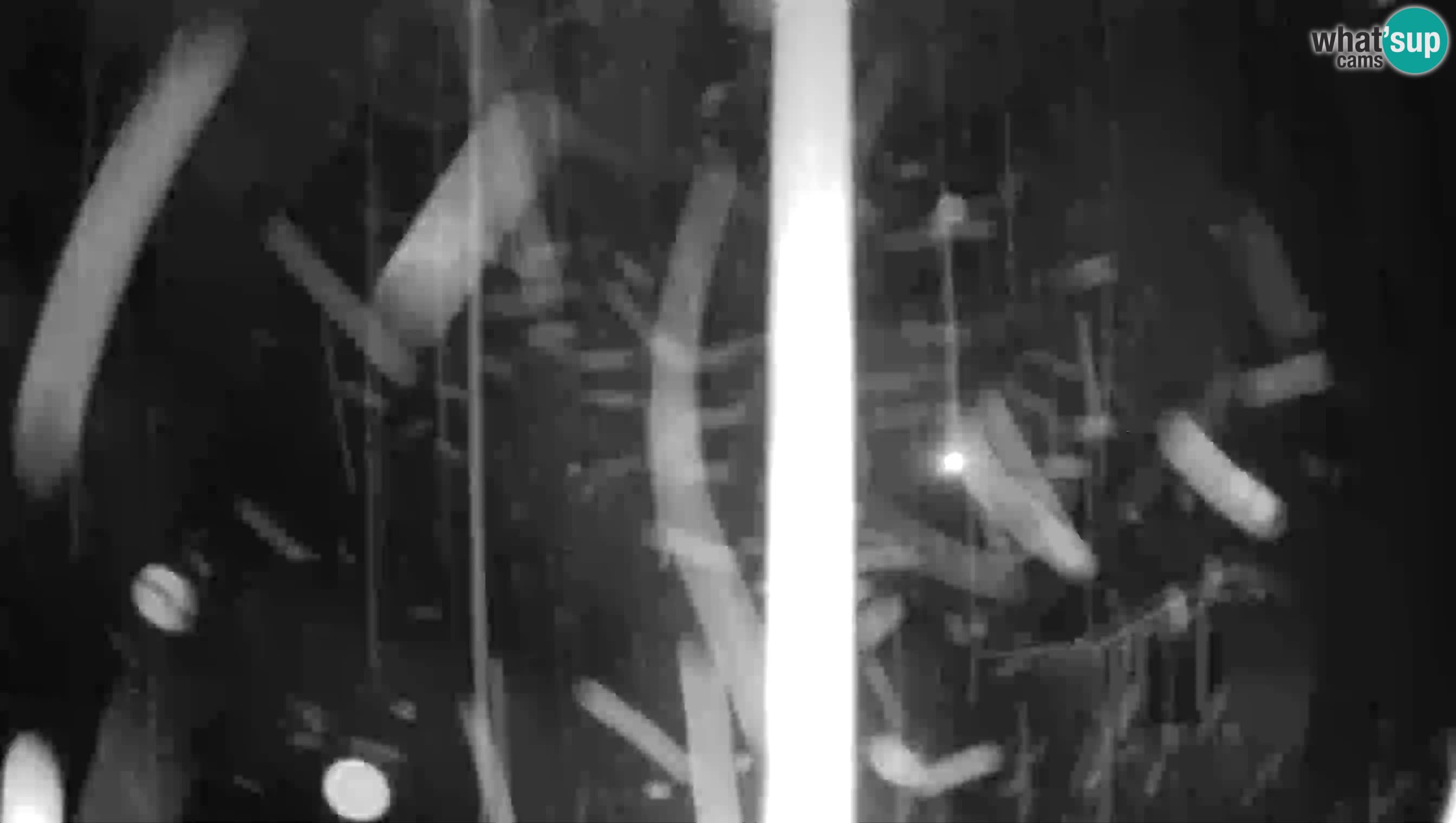 Live Webcam Höhlenburg Predjama – Postojna – Slowenien