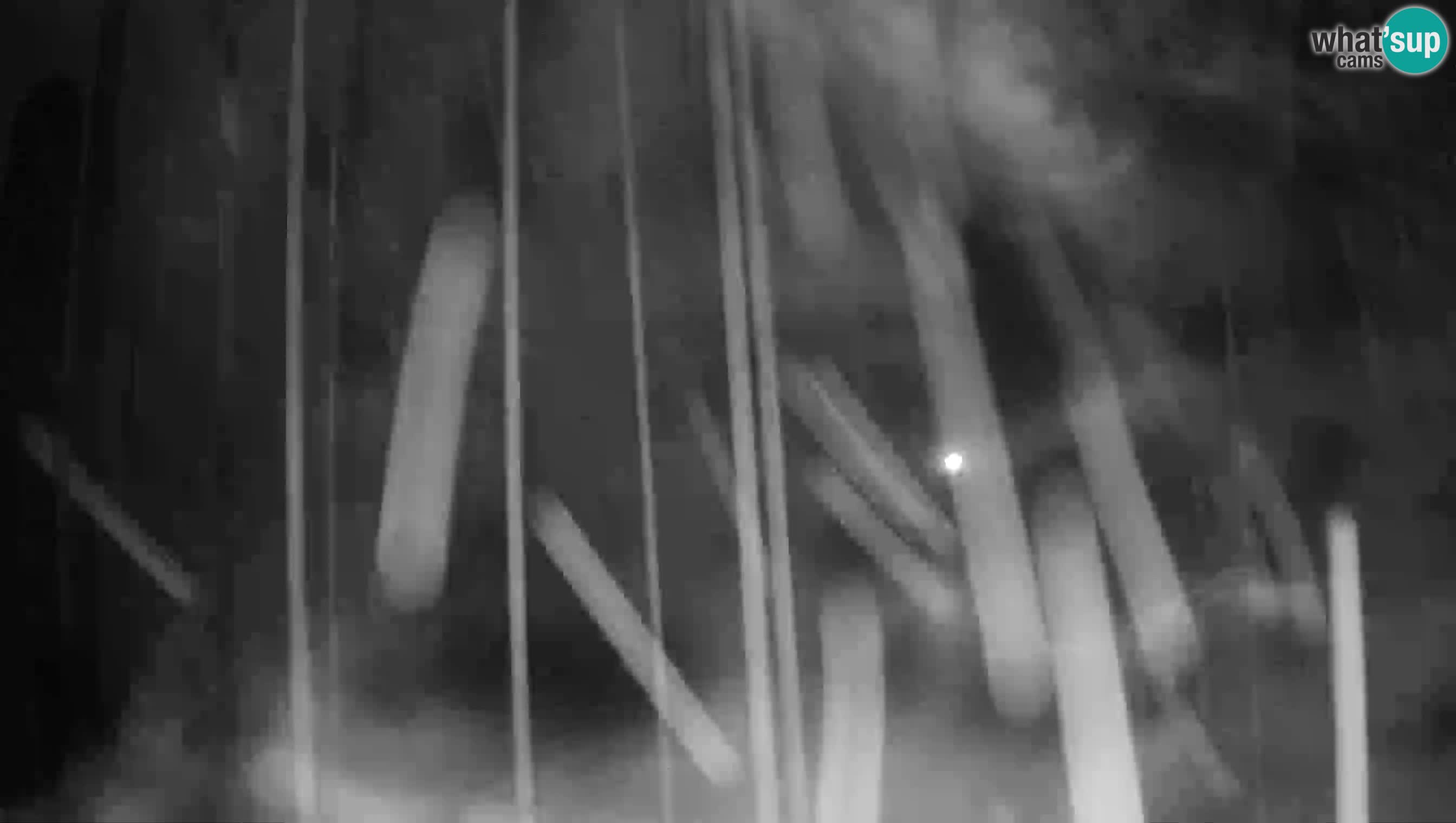 Web kamera Predjamski dvorac – Postojna – Slovenija