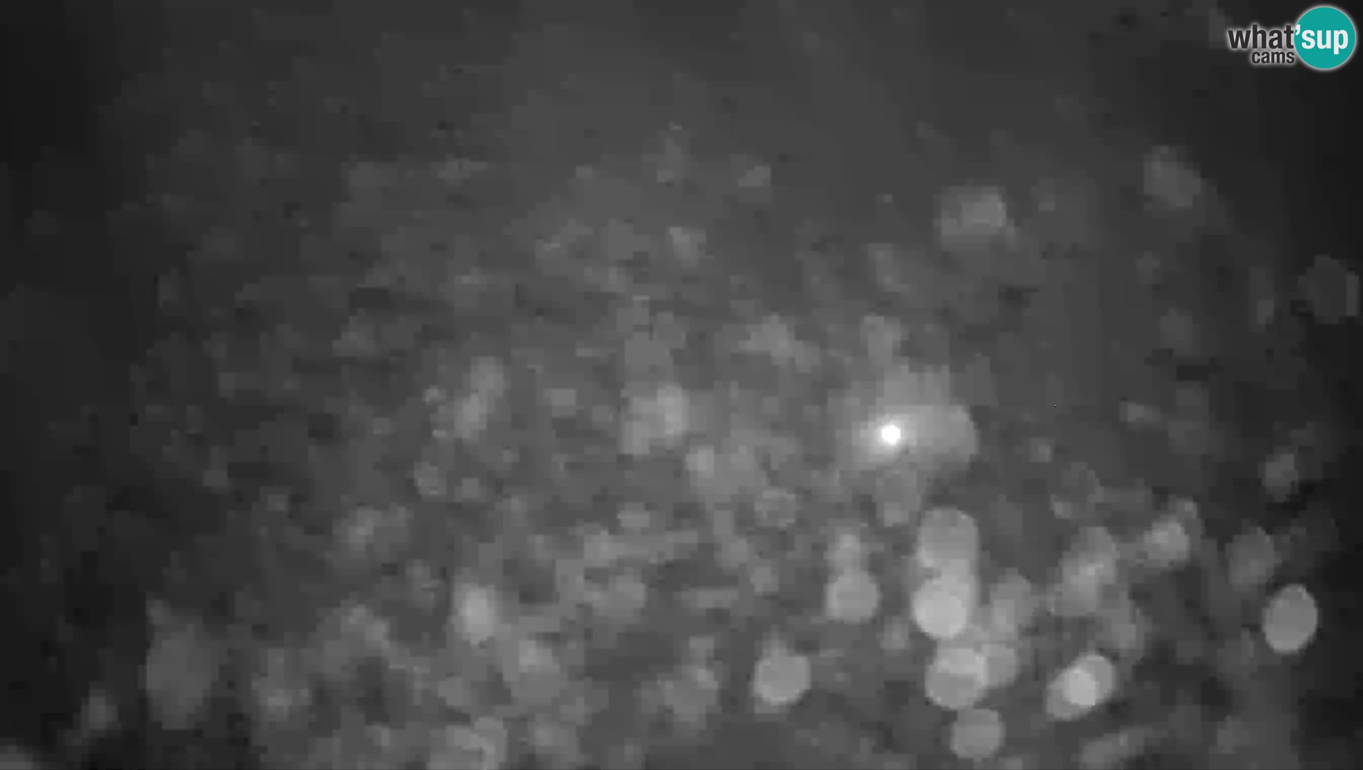 Live Webcam Grad Predjama – Château de Predjama – Postojna – Slovénie