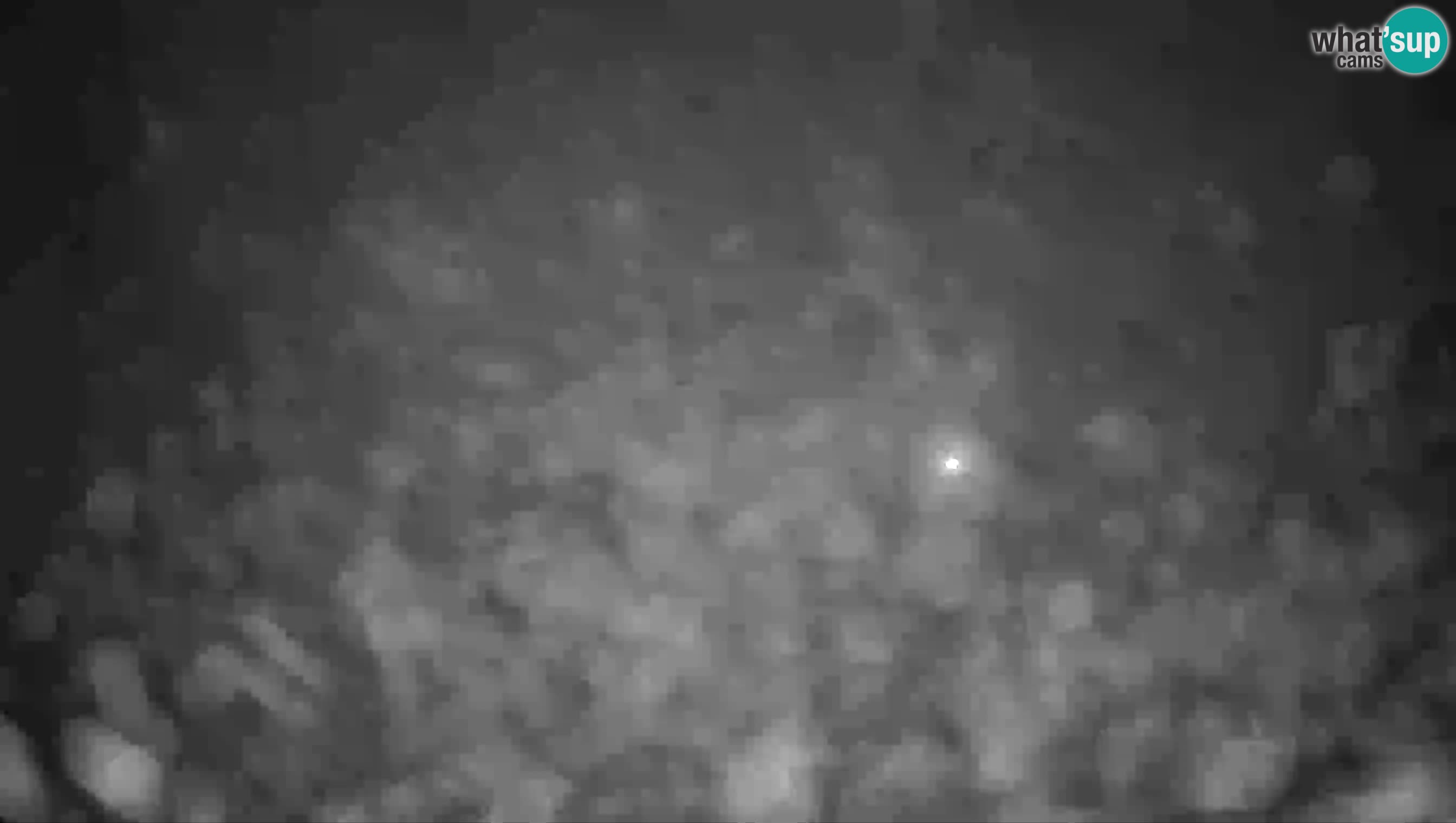 Live Webcam Grad Predjama – Château de Predjama – Postojna – Slovénie