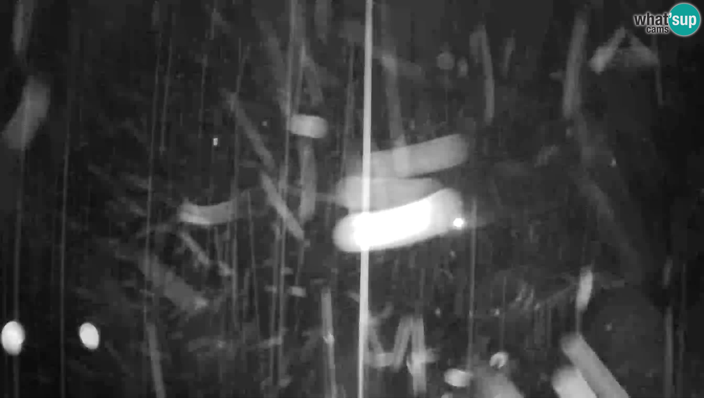 Live Webcam Höhlenburg Predjama – Postojna – Slowenien