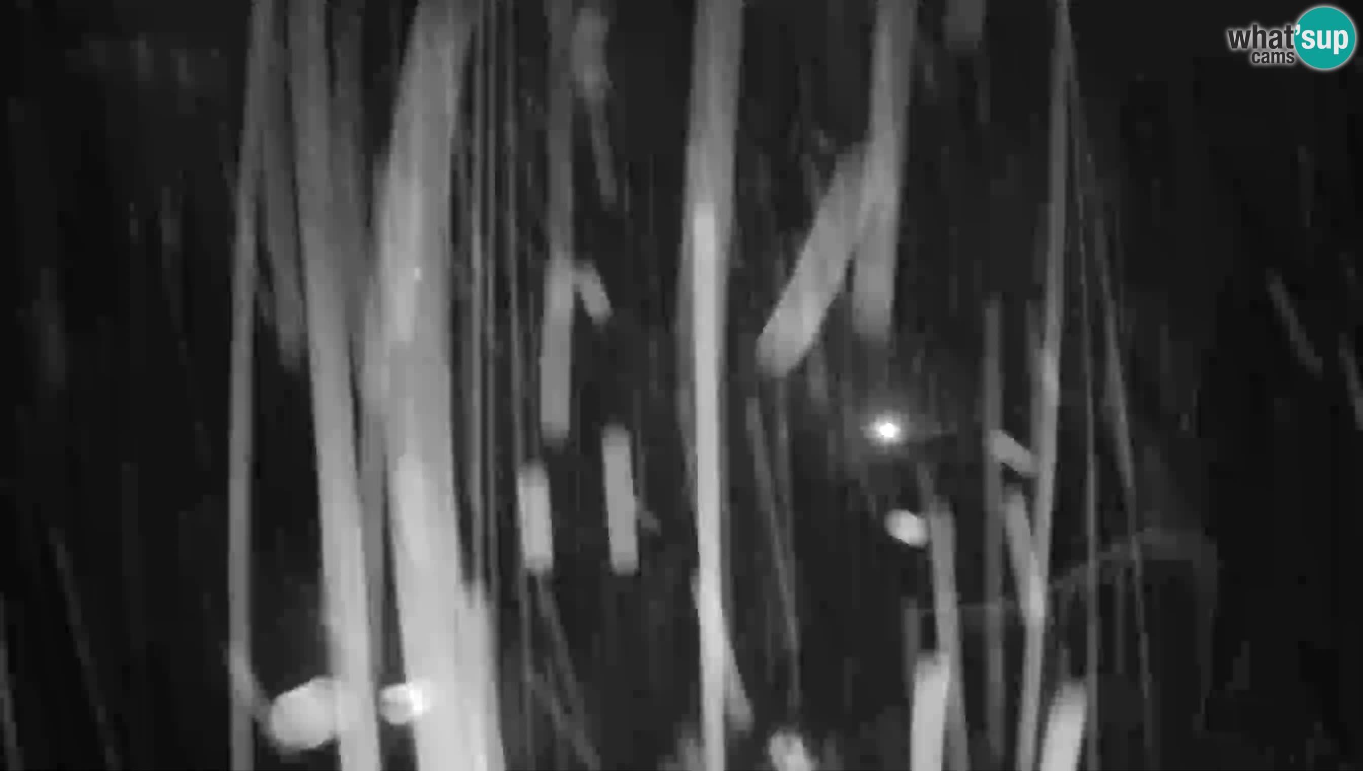 Live Webcam Castello di Predjama – Postumia – Slovenia