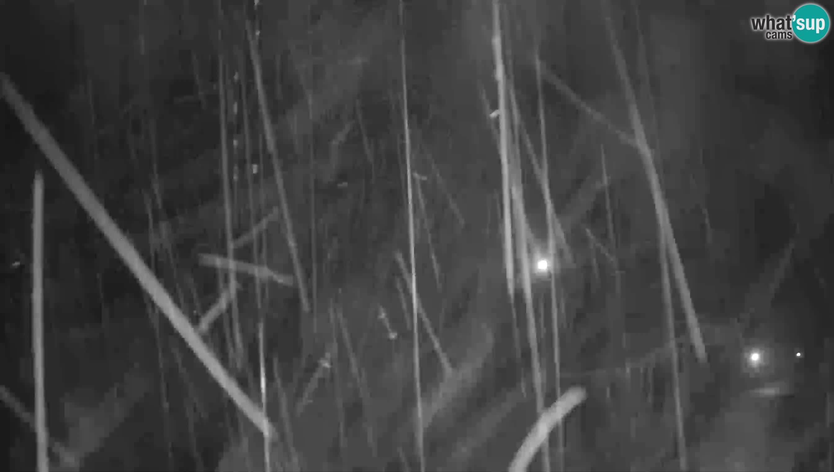 Camera en vivo Castillo de Predjama – Postojna – Eslovenia
