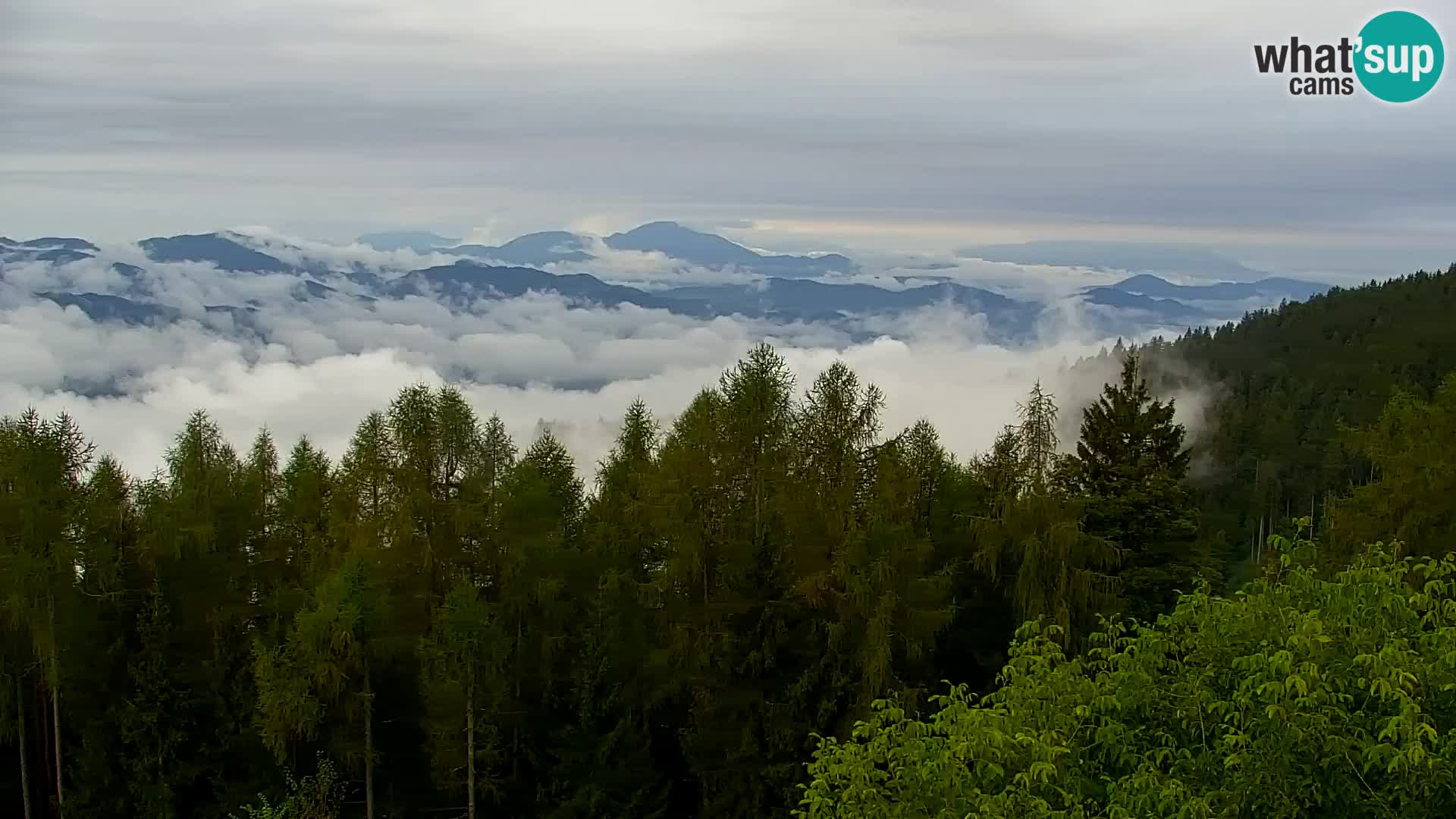 Spletna kamera Kapunar – Radlje ob Dravi