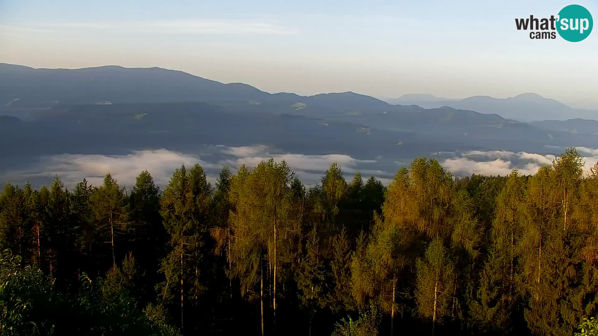 Spletna kamera Kapunar – Radlje ob Dravi