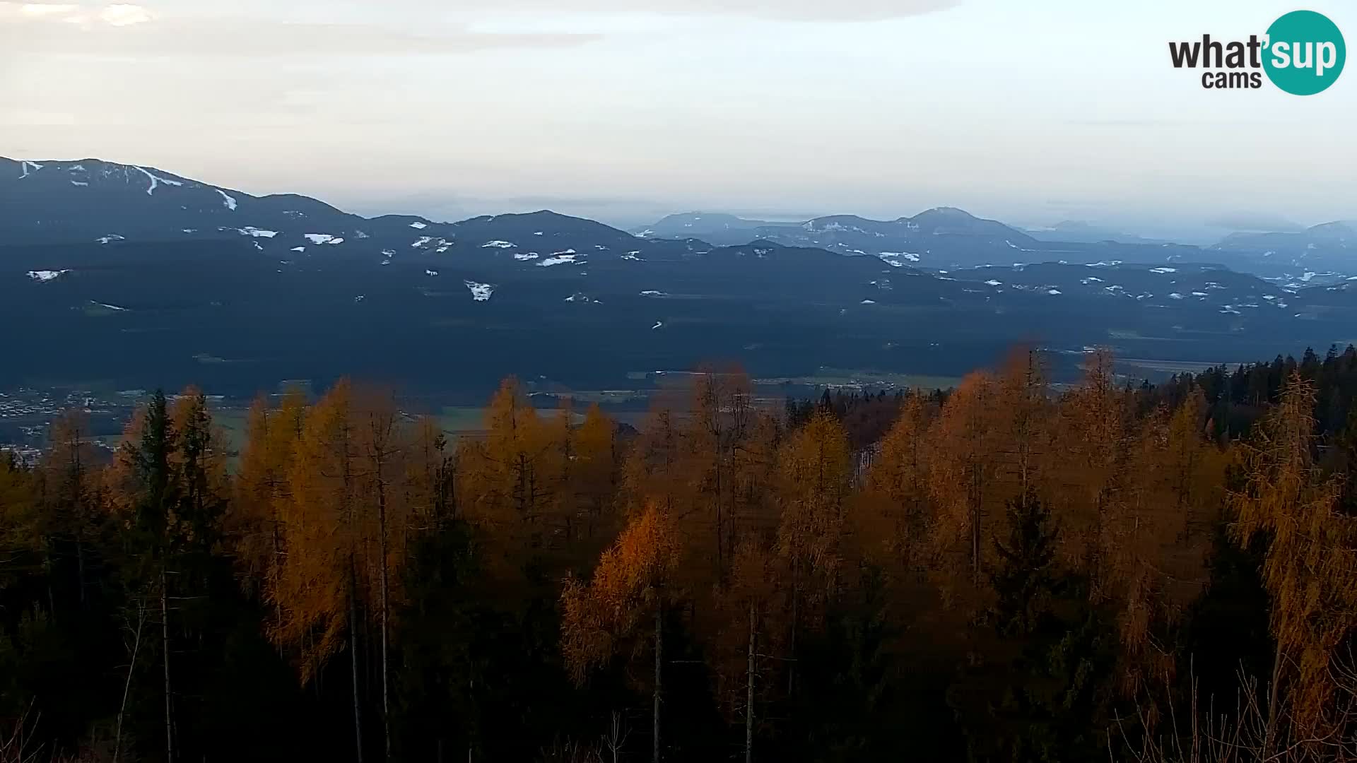 Kapunar Webcam – Radlje ob Dravi