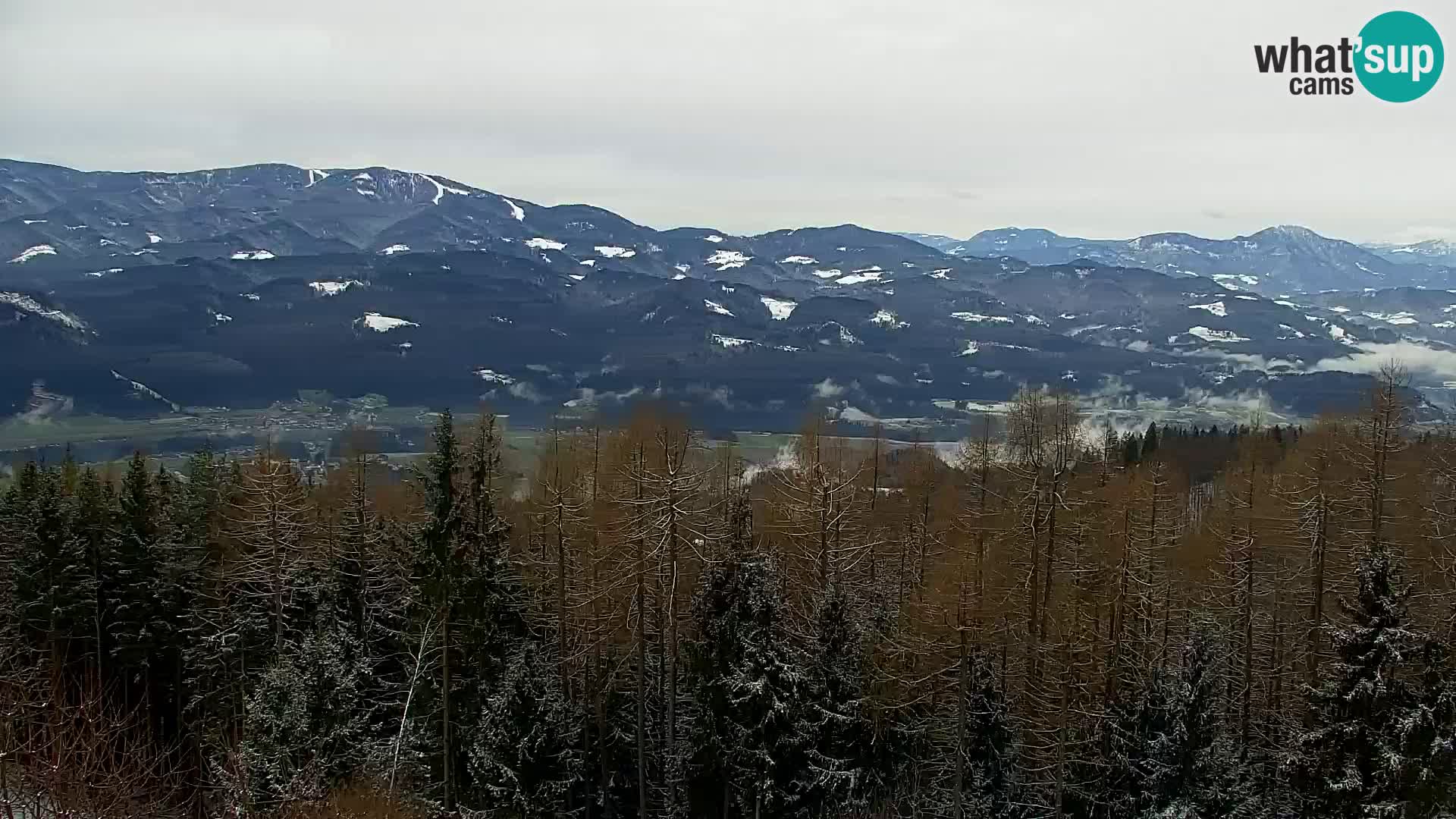 Spletna kamera Kapunar – Radlje ob Dravi