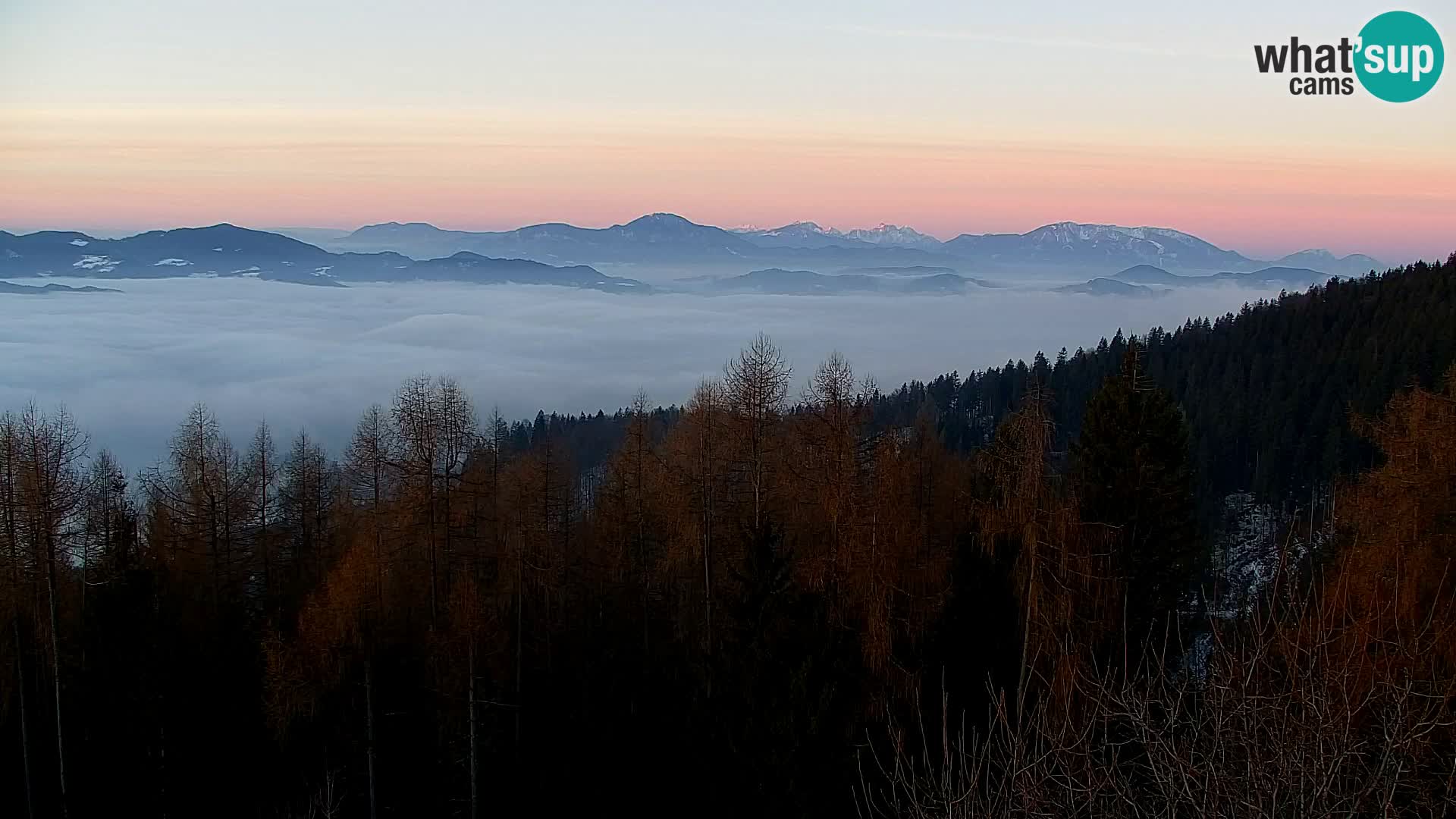 Spletna kamera Kapunar – Radlje ob Dravi