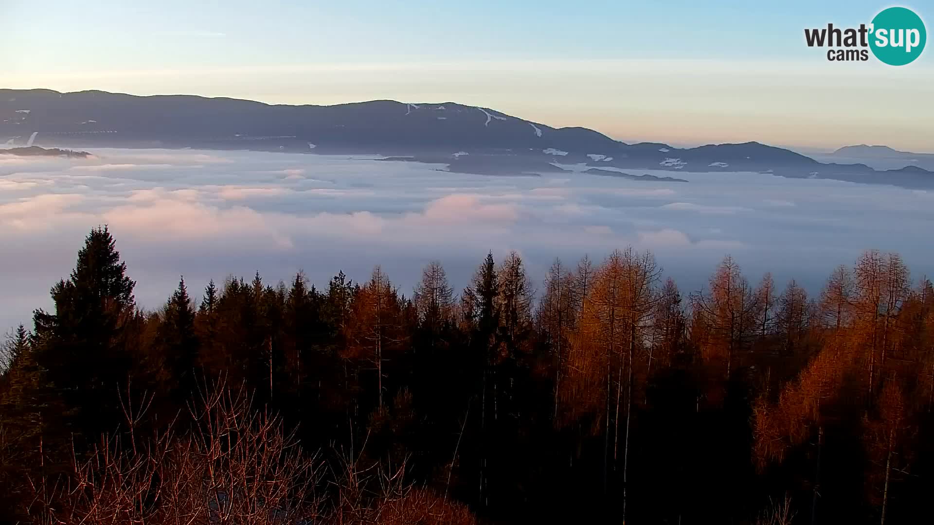 Webcam Kapunar – Radlje ob Dravi