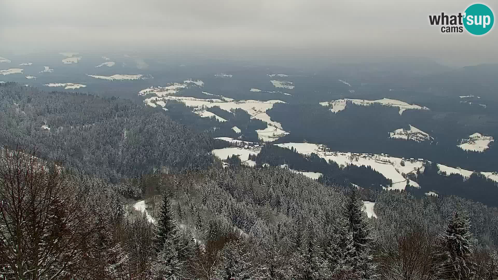 Webcam Kapunar – Radlje ob Dravi