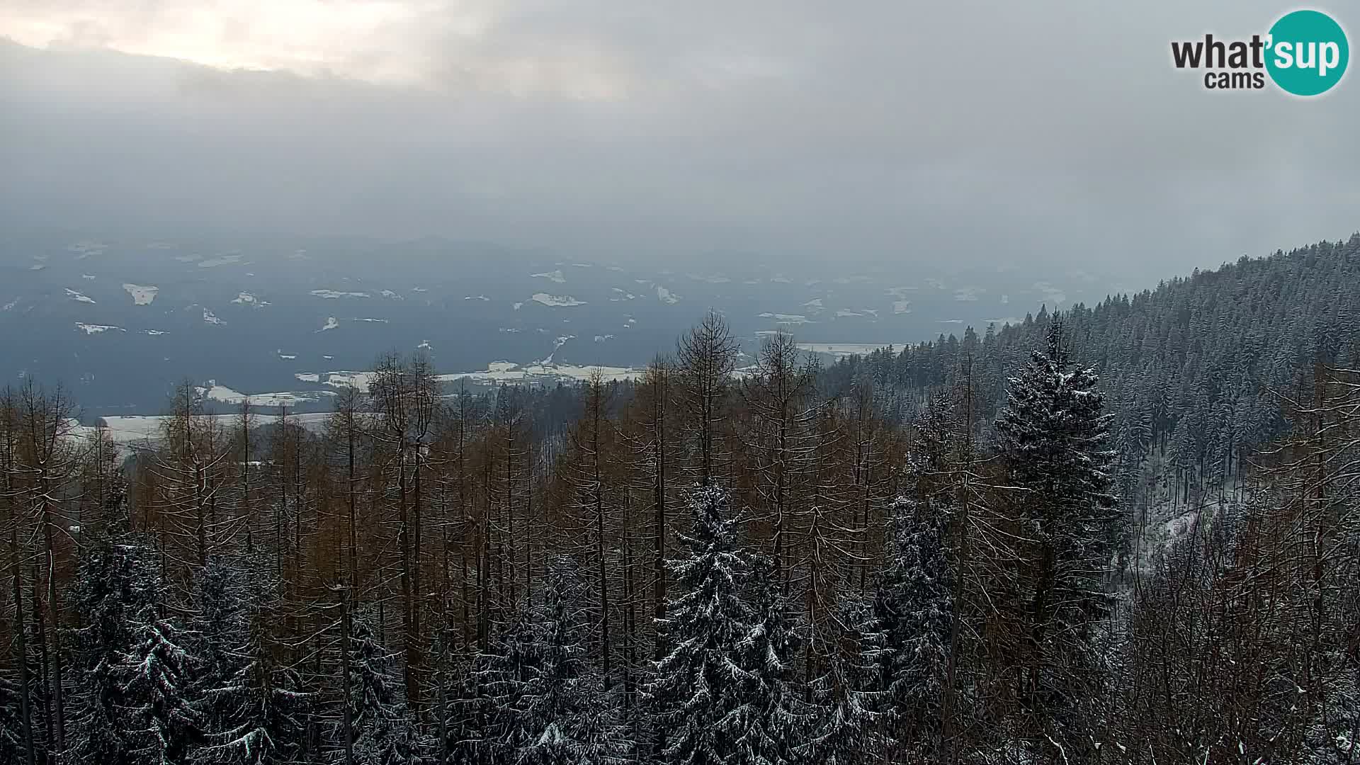 Spletna kamera Kapunar – Radlje ob Dravi