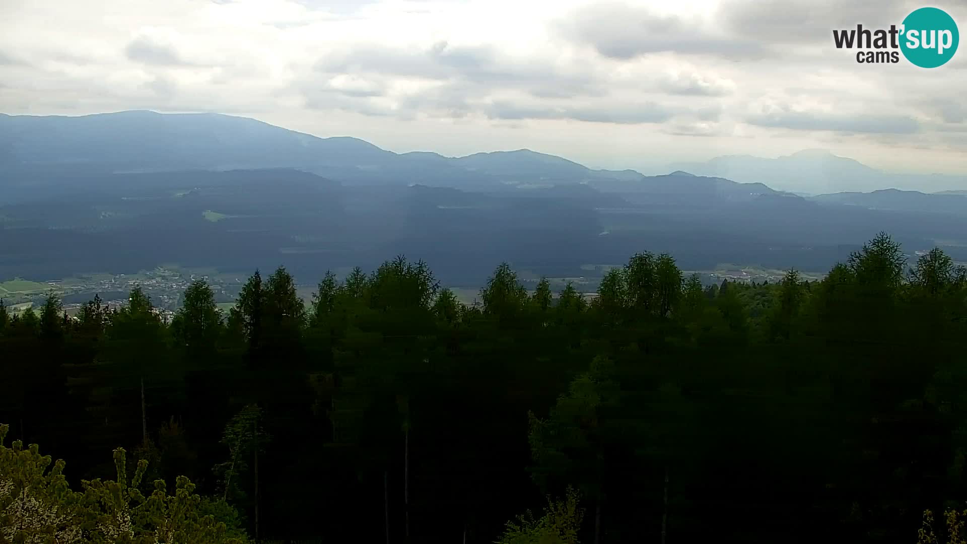 Kapunar Webcam – Radlje ob Dravi