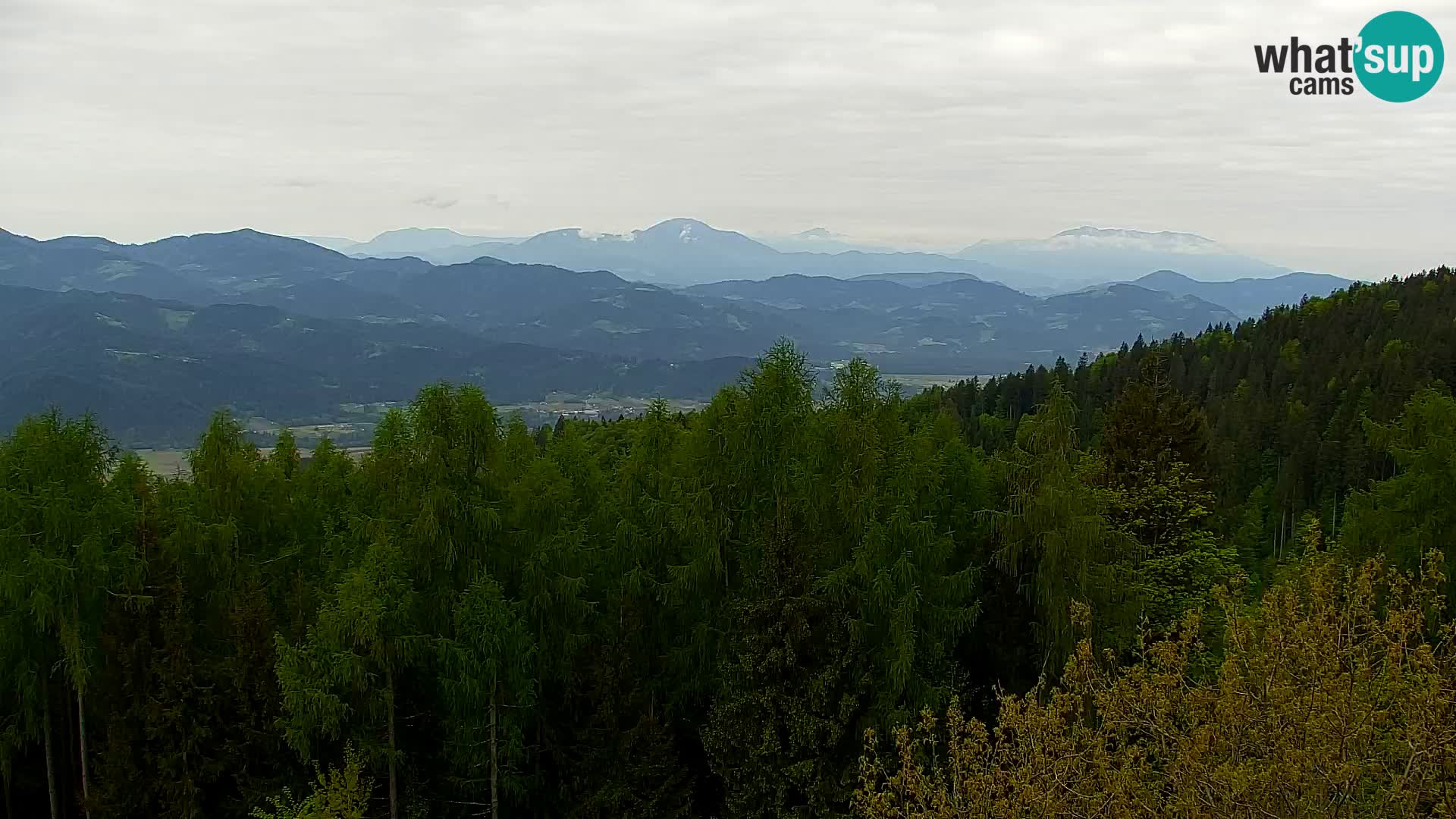 Live cam Kapunar – Radlje ob Dravi