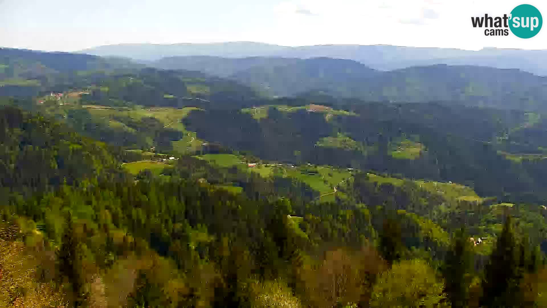 Webcam Kapunar – Radlje ob Dravi