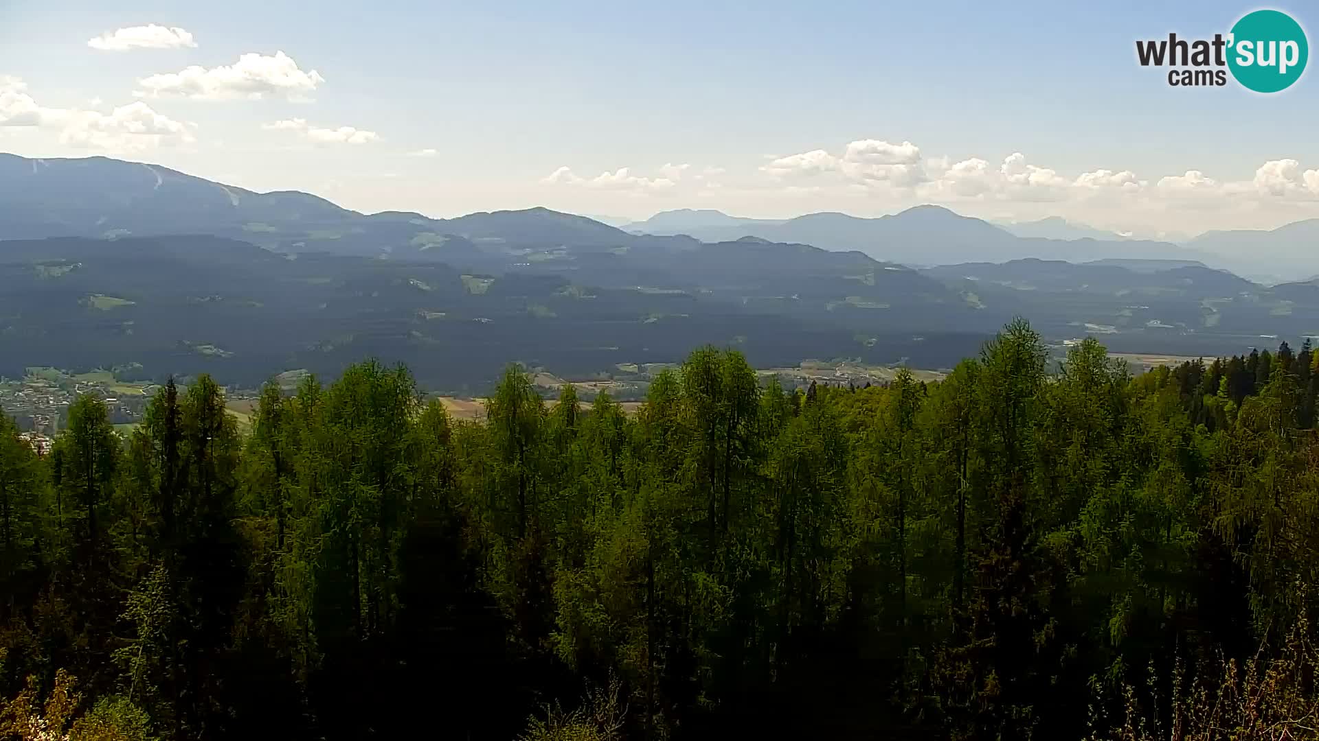 Spletna kamera Kapunar – Radlje ob Dravi