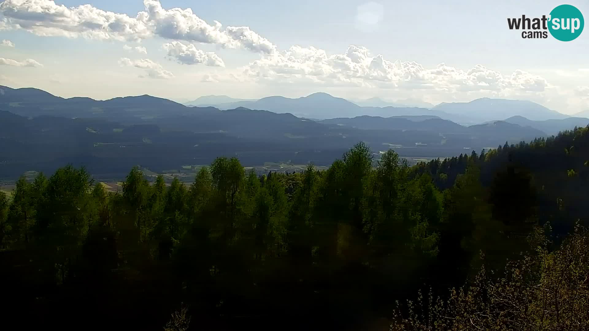 Live cam Kapunar – Radlje ob Dravi