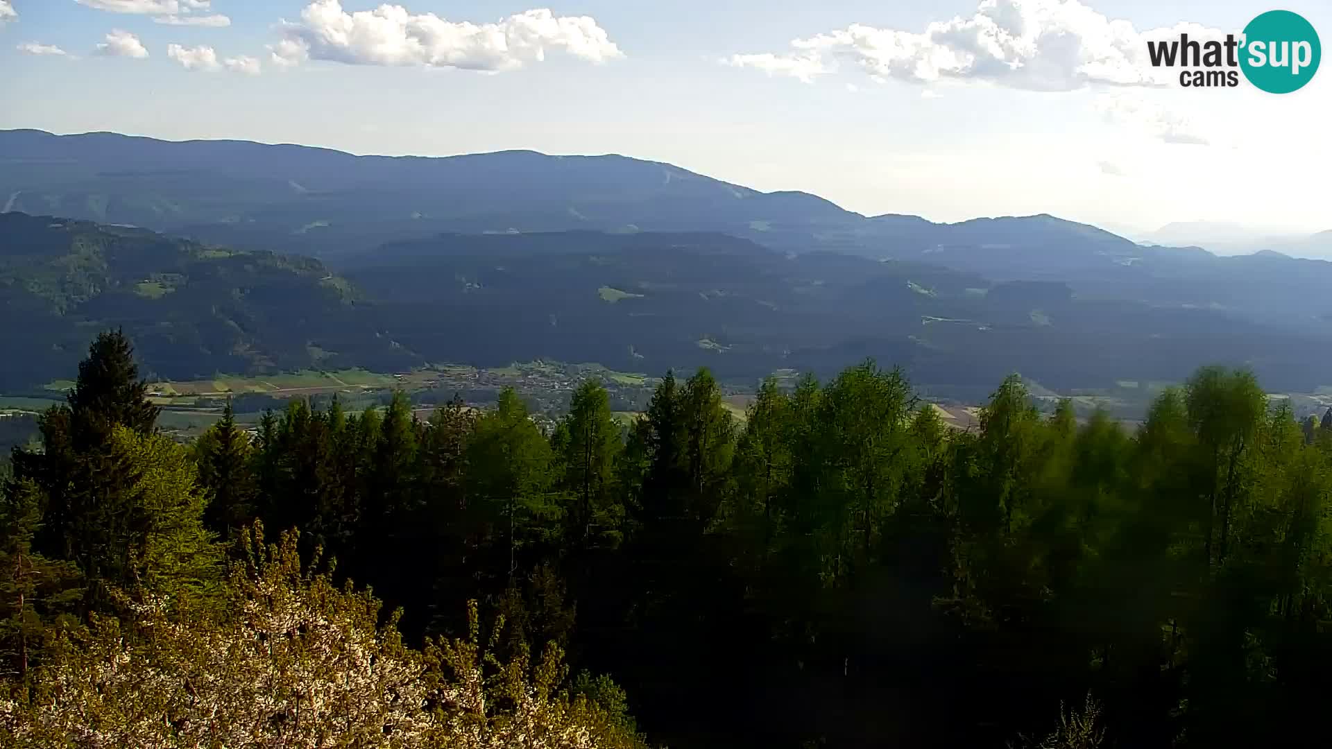 Kapunar Webcam – Radlje ob Dravi