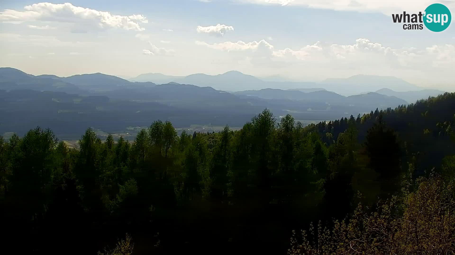 Kapunar Webcam – Radlje ob Dravi