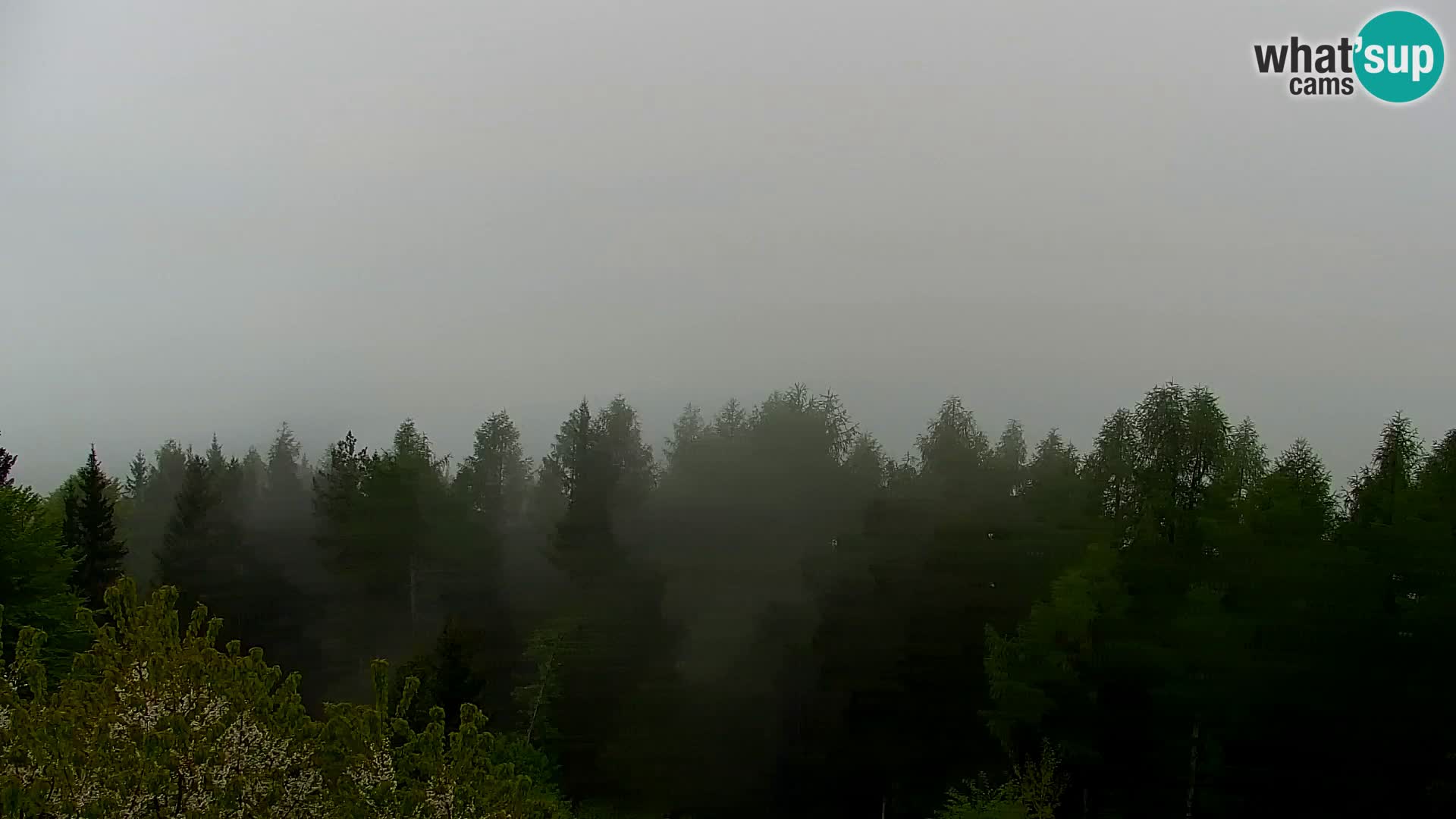 Live cam Kapunar – Radlje ob Dravi