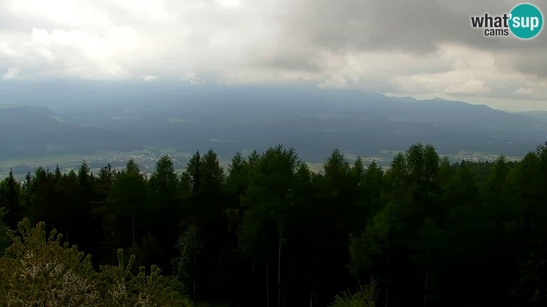 Live cam Kapunar – Radlje ob Dravi